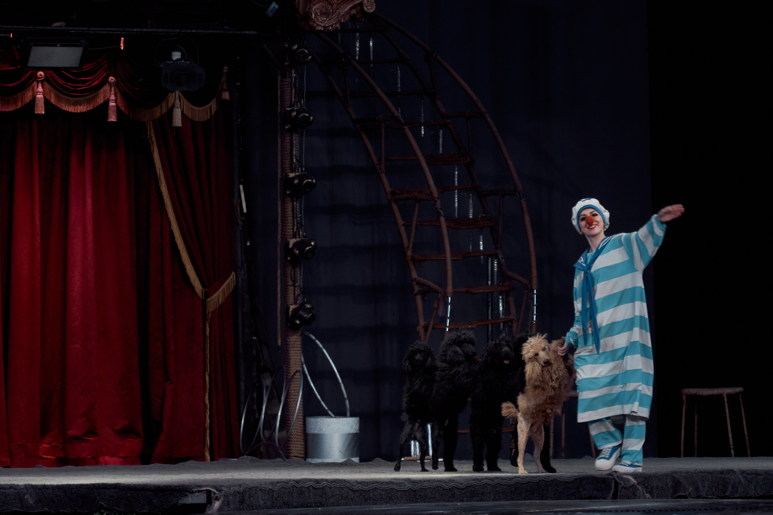 Цирк «На воде». Фотограф