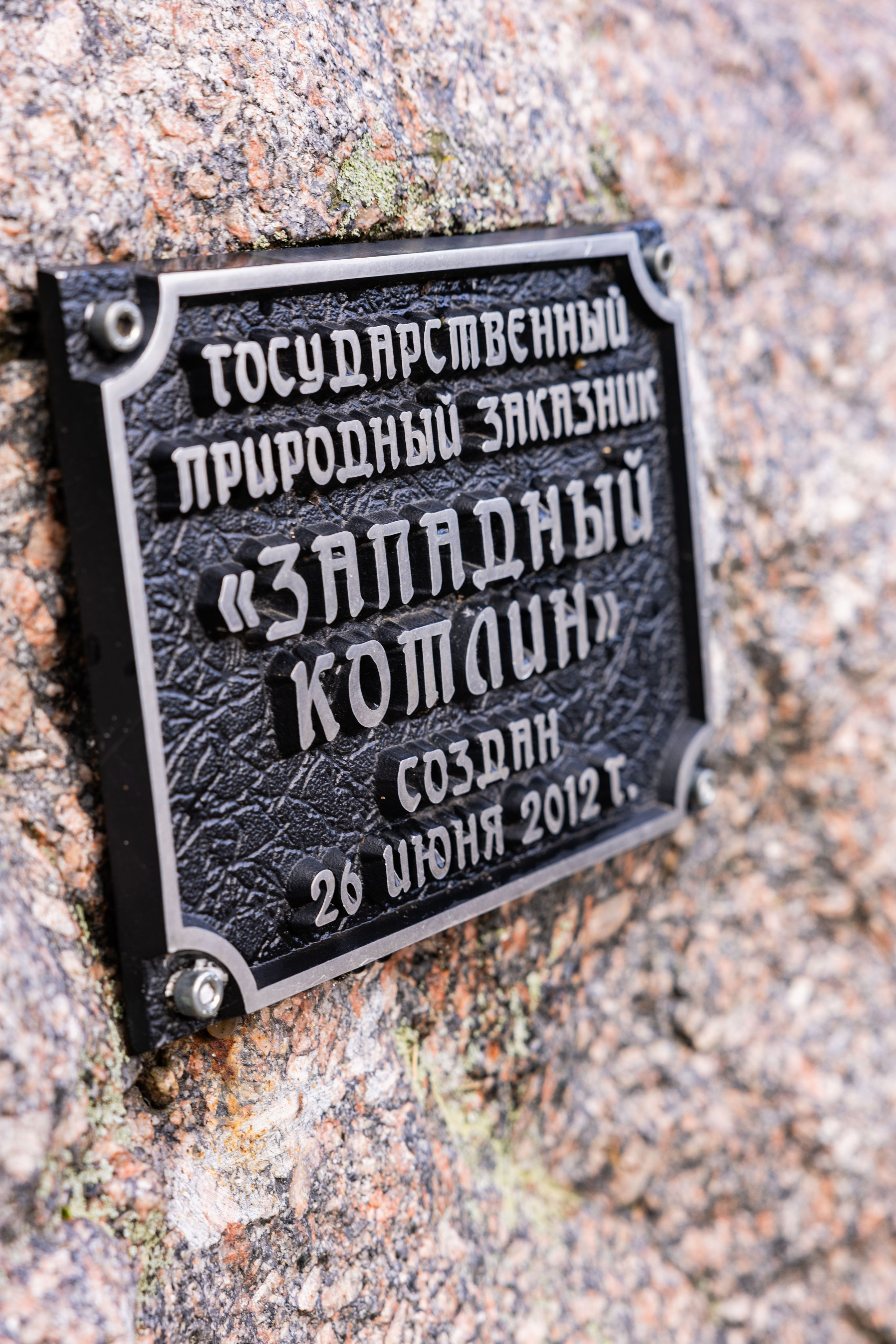 Зеленый пластик. Западный Котлин. Фотограф/видеограф в Санкт-Петербурге Динара Гольдина