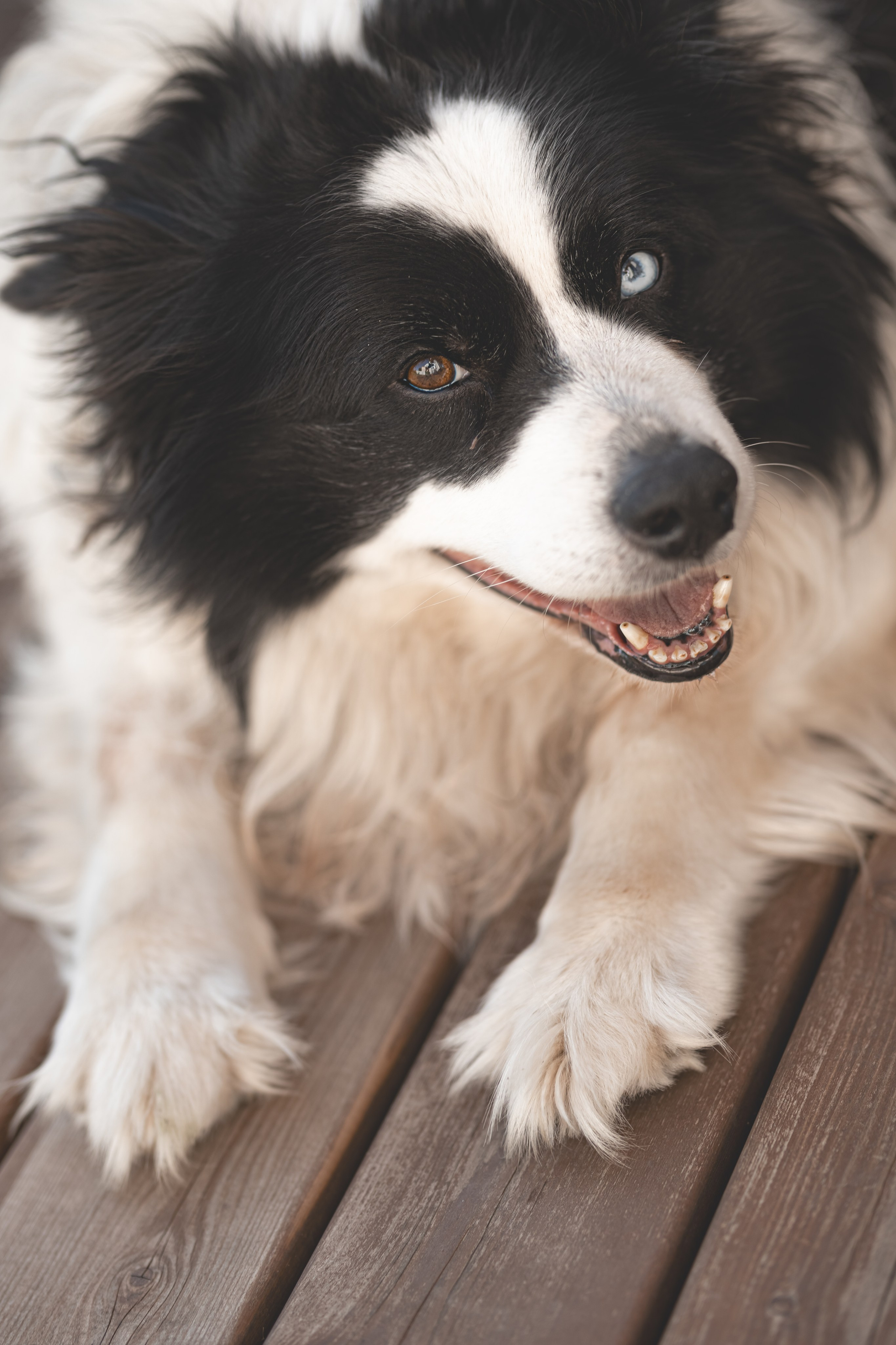FAMILY home. Контент фотограф в Москве Кулич Настя