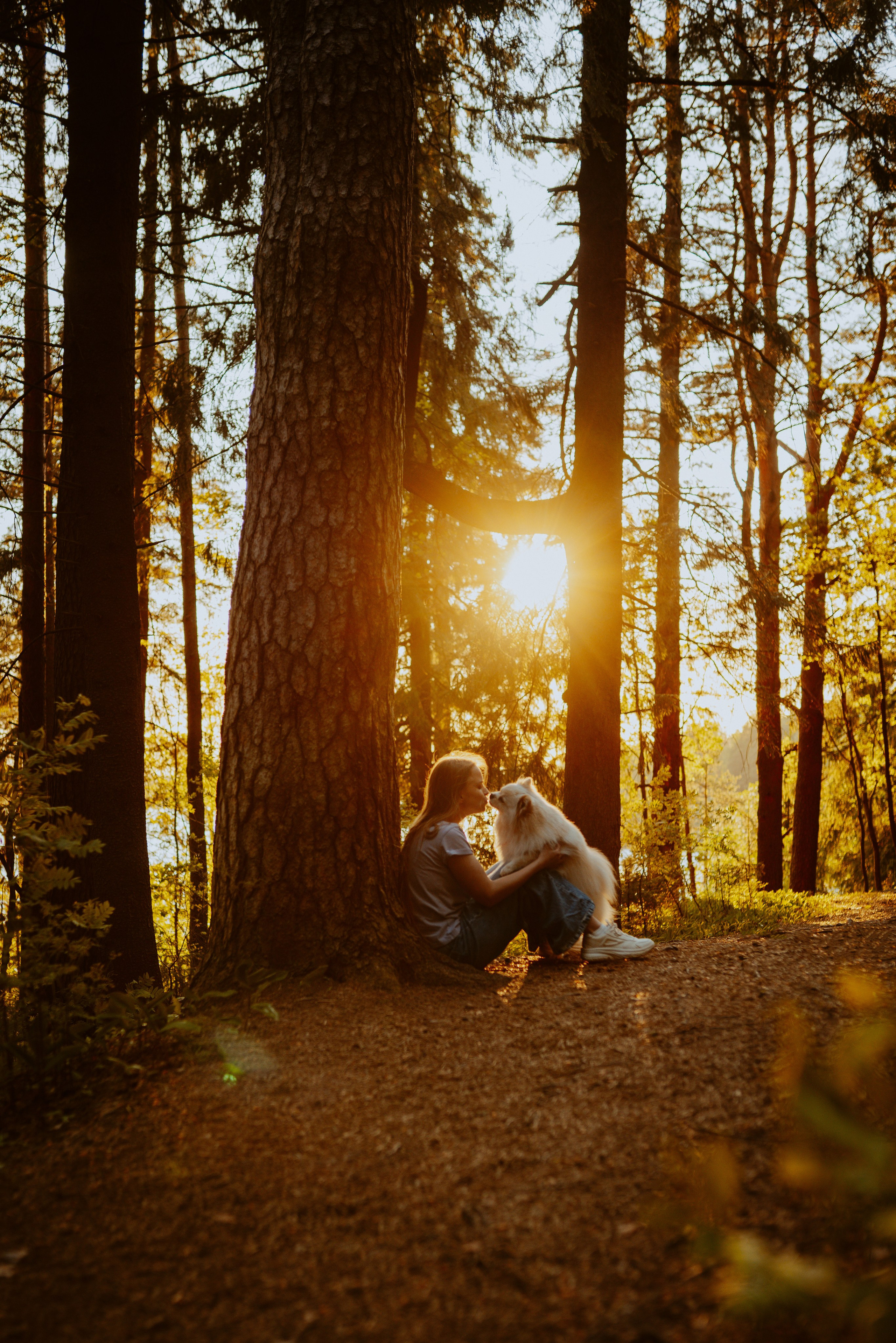 Фотосессия с собачкой в лесу. Фотограф анималист в Спб недорого Олеся Майорова