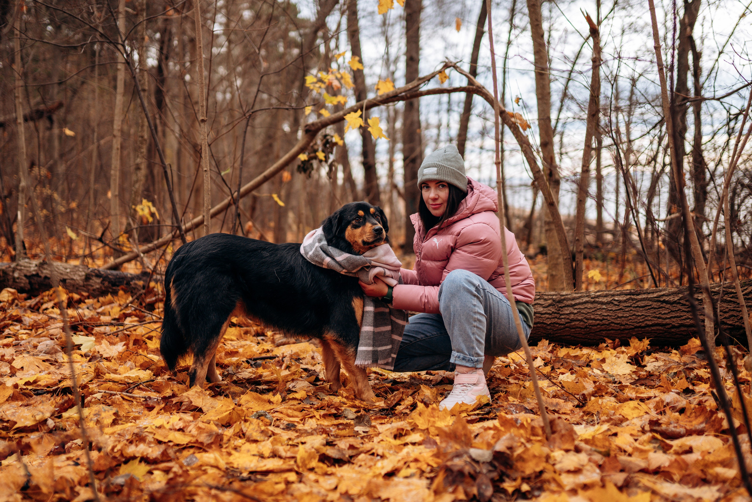 Глаша и Любовь. Фотограф анималист в Спб недорого Олеся Майорова