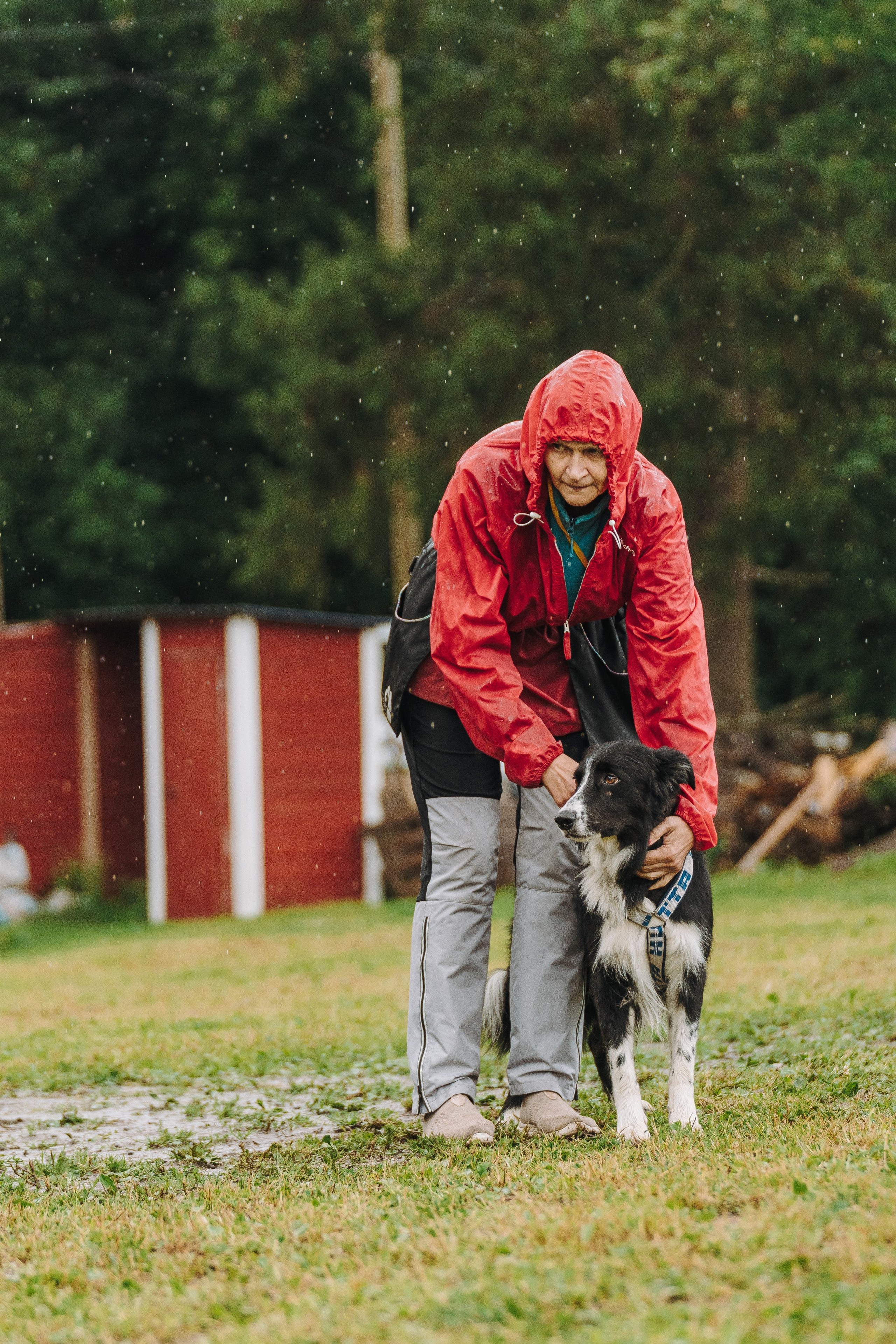 Соревнования по ноузворку в Новожилово. Фотограф анималист в Спб недорого Олеся Майорова