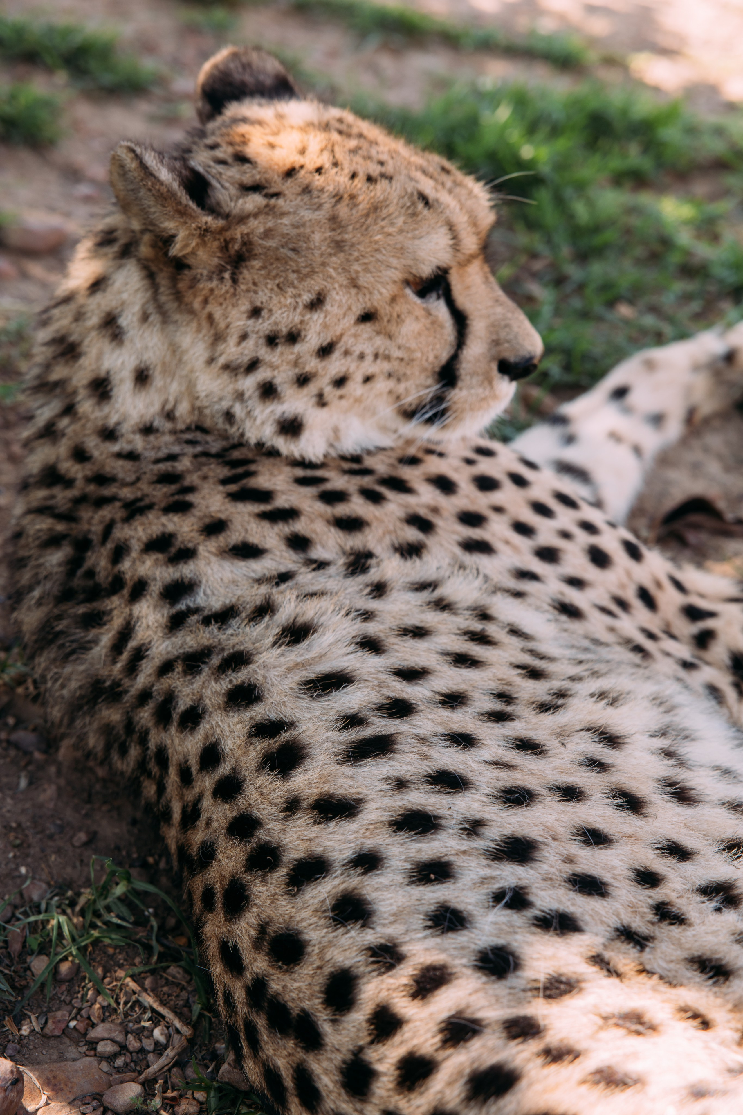 ФОТО ТУРЫ ПО МИРУ. Фотограф Марина Аблаева-Кожедуб