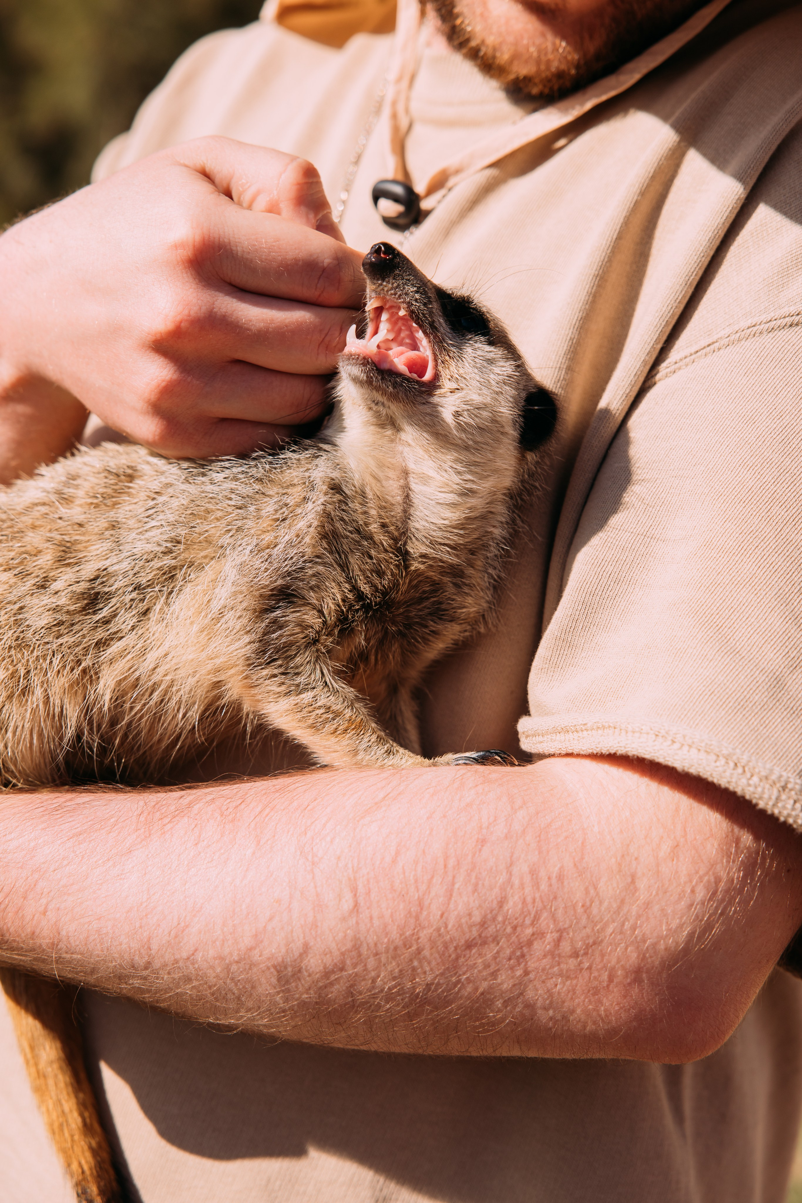 ФОТО ТУРЫ ПО МИРУ. Фотограф Марина Аблаева-Кожедуб