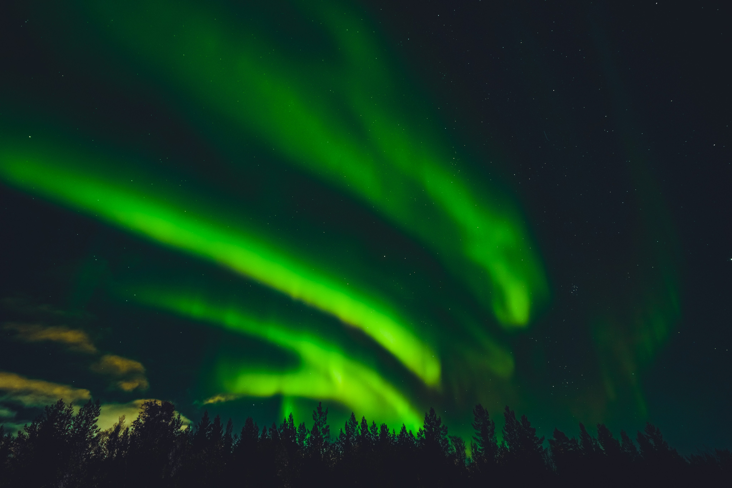СЕВЕР. Event фотограф Степанова Александра