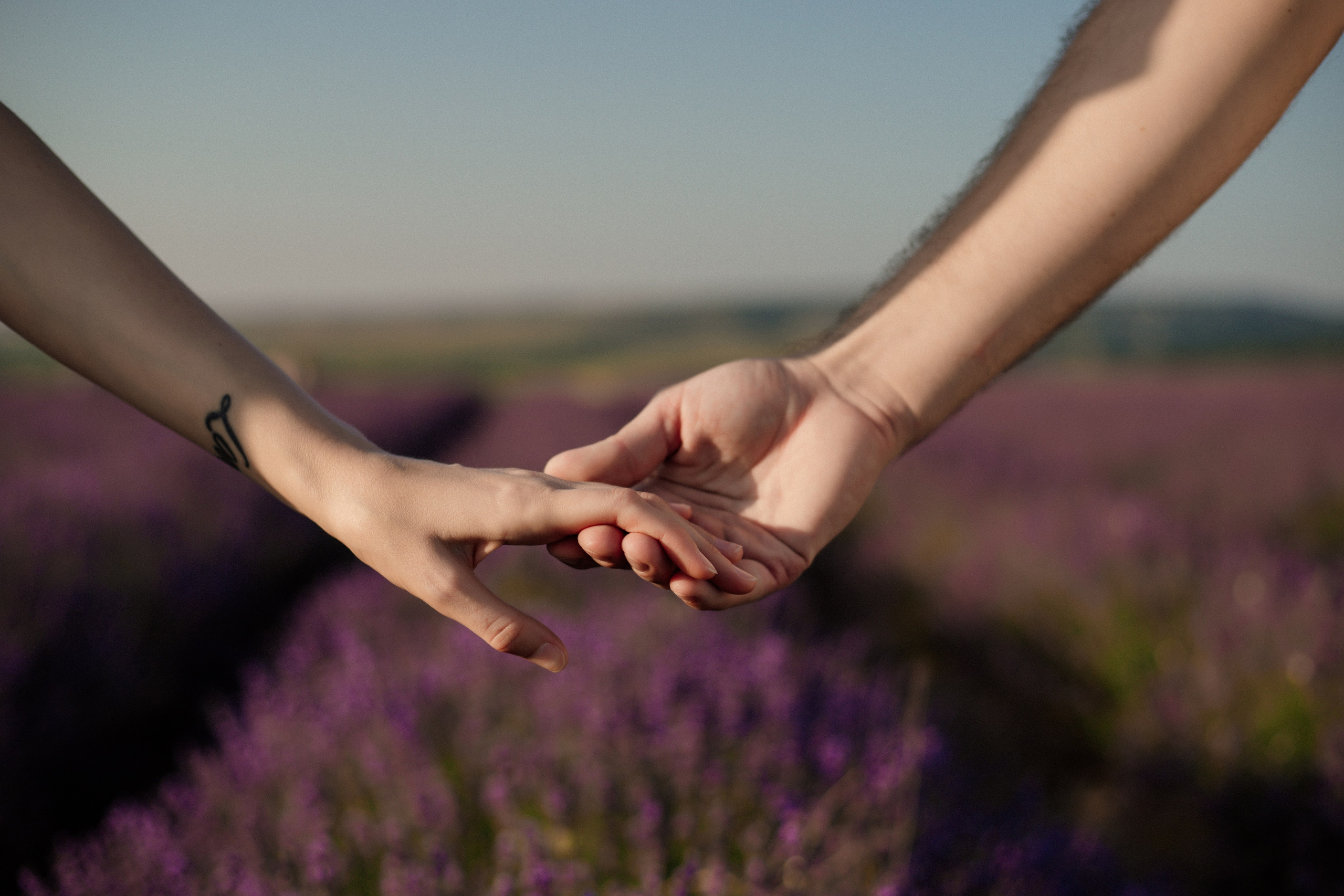 Лаванда. Фотограф и Видеограф Севастополь Крым