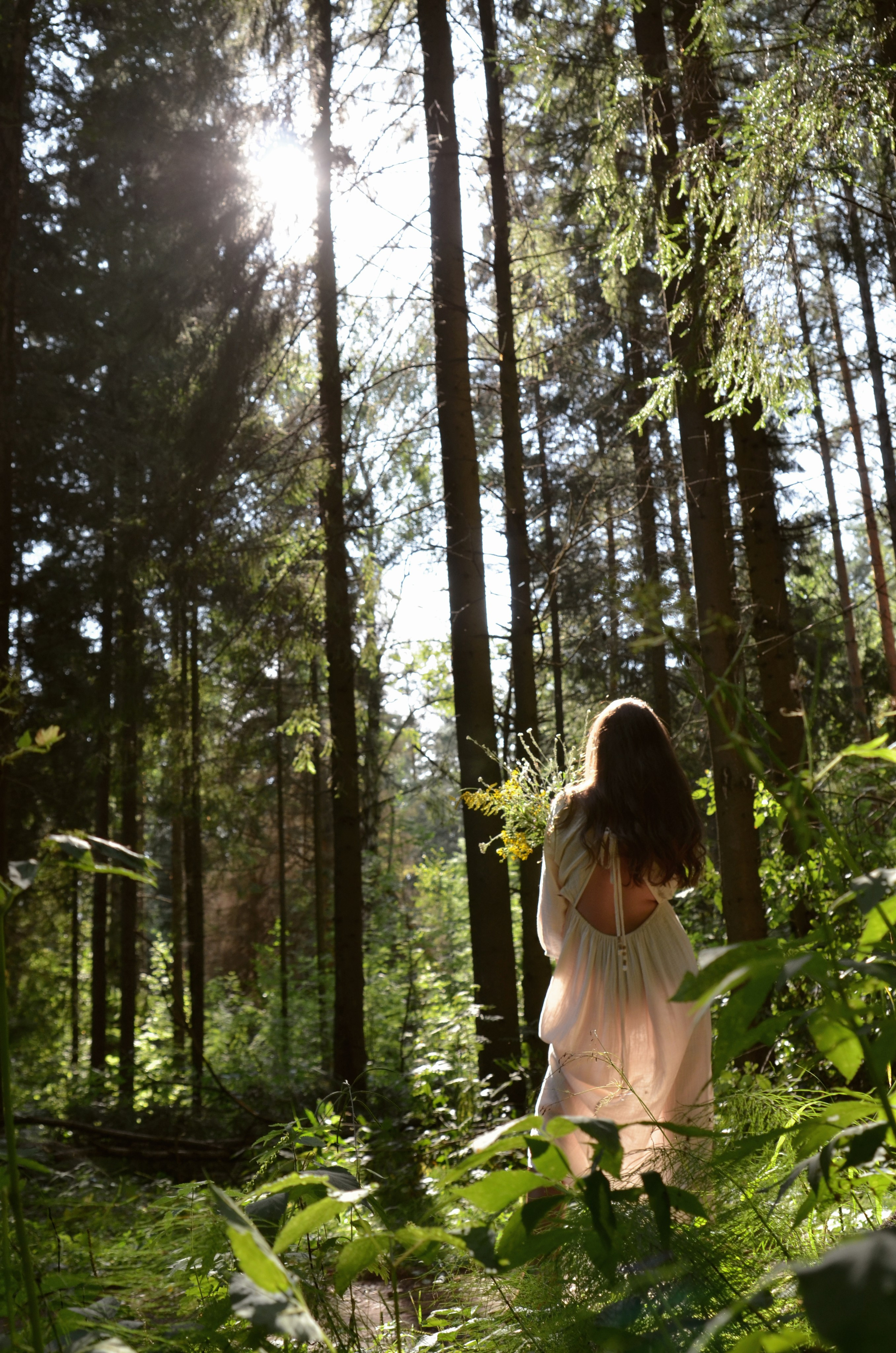 Forest. Семенова Алёна начинающий свой путь самурая фотограф