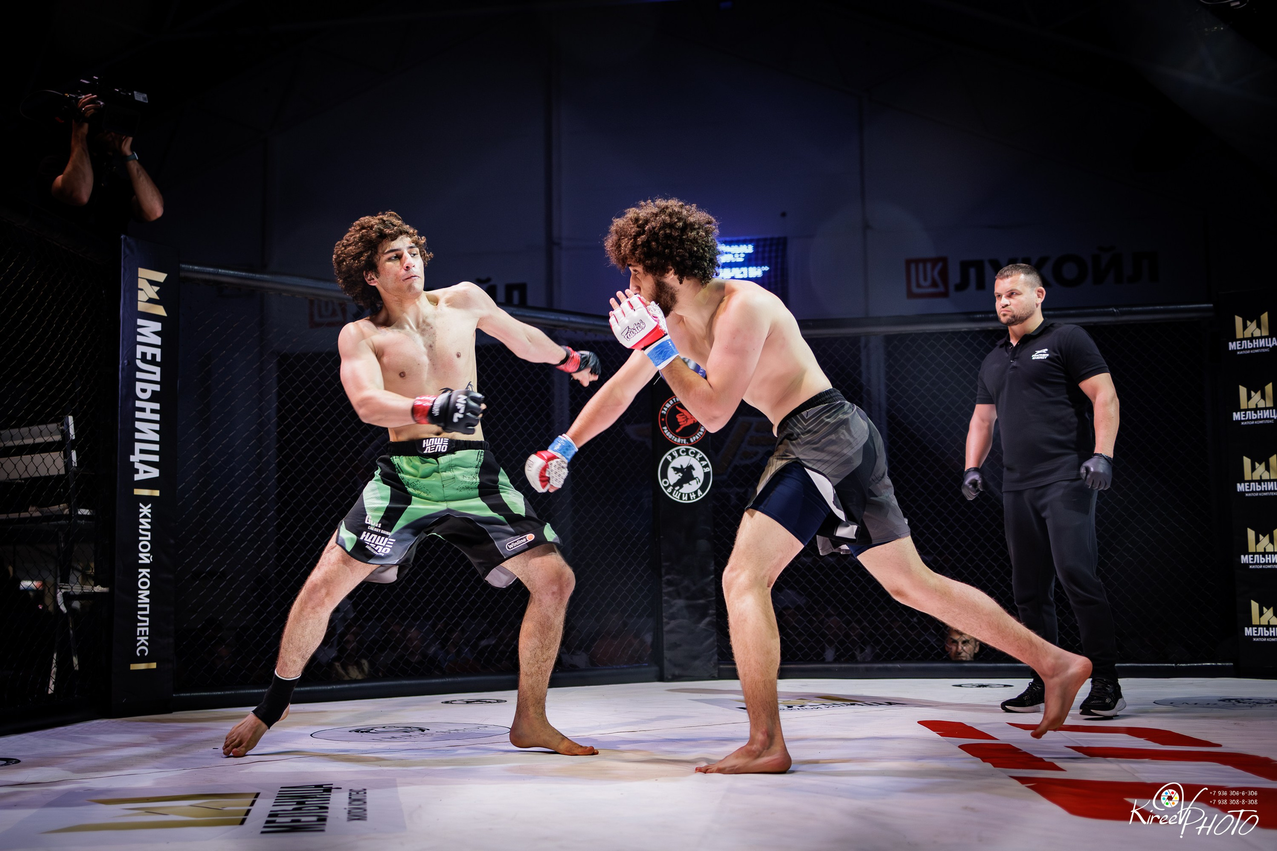 MMA Бой Вирабян Давид Джафаров Ринат Спортивный Фотограф Краснодар