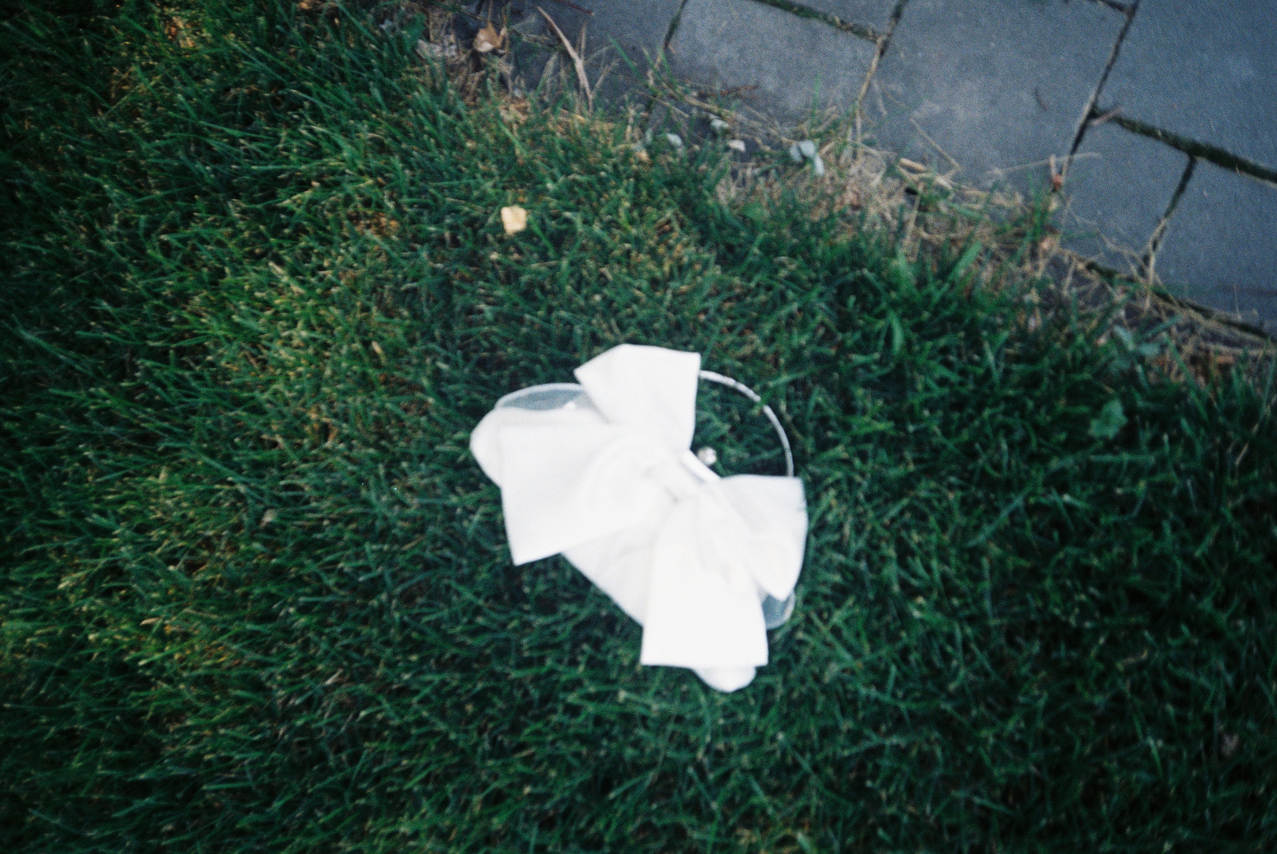 Пленка. Фотограф Волгоград / Волжский