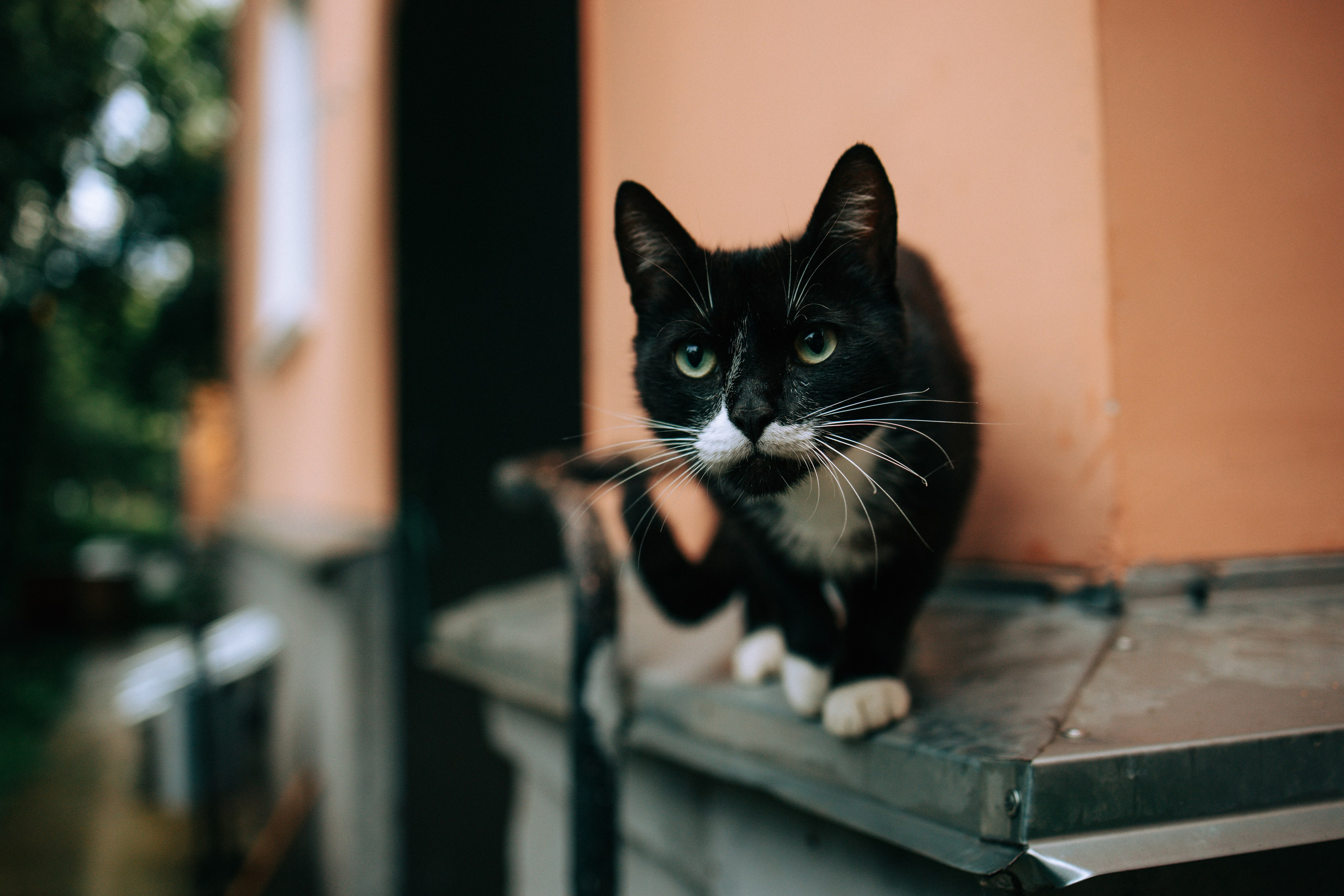 Дождливое лето. Свадебный и семейный фотограф в Туле и области Маша Костина