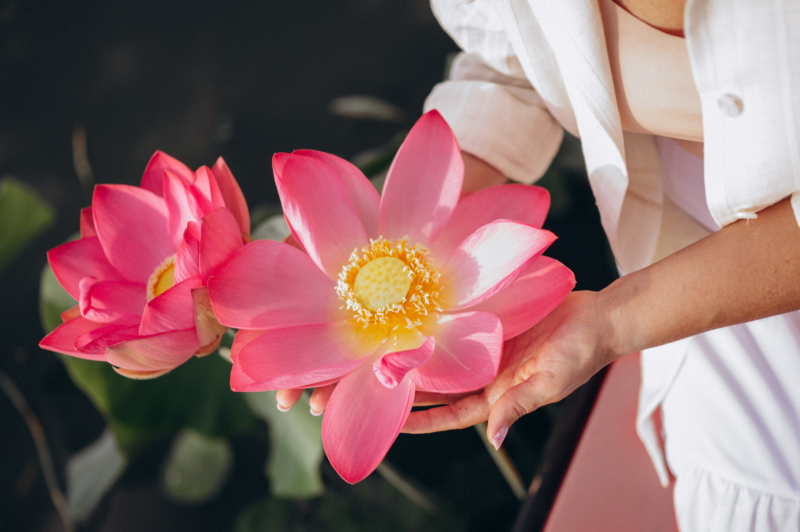 Лада и лотосы. Фотограф Горбенко Анна