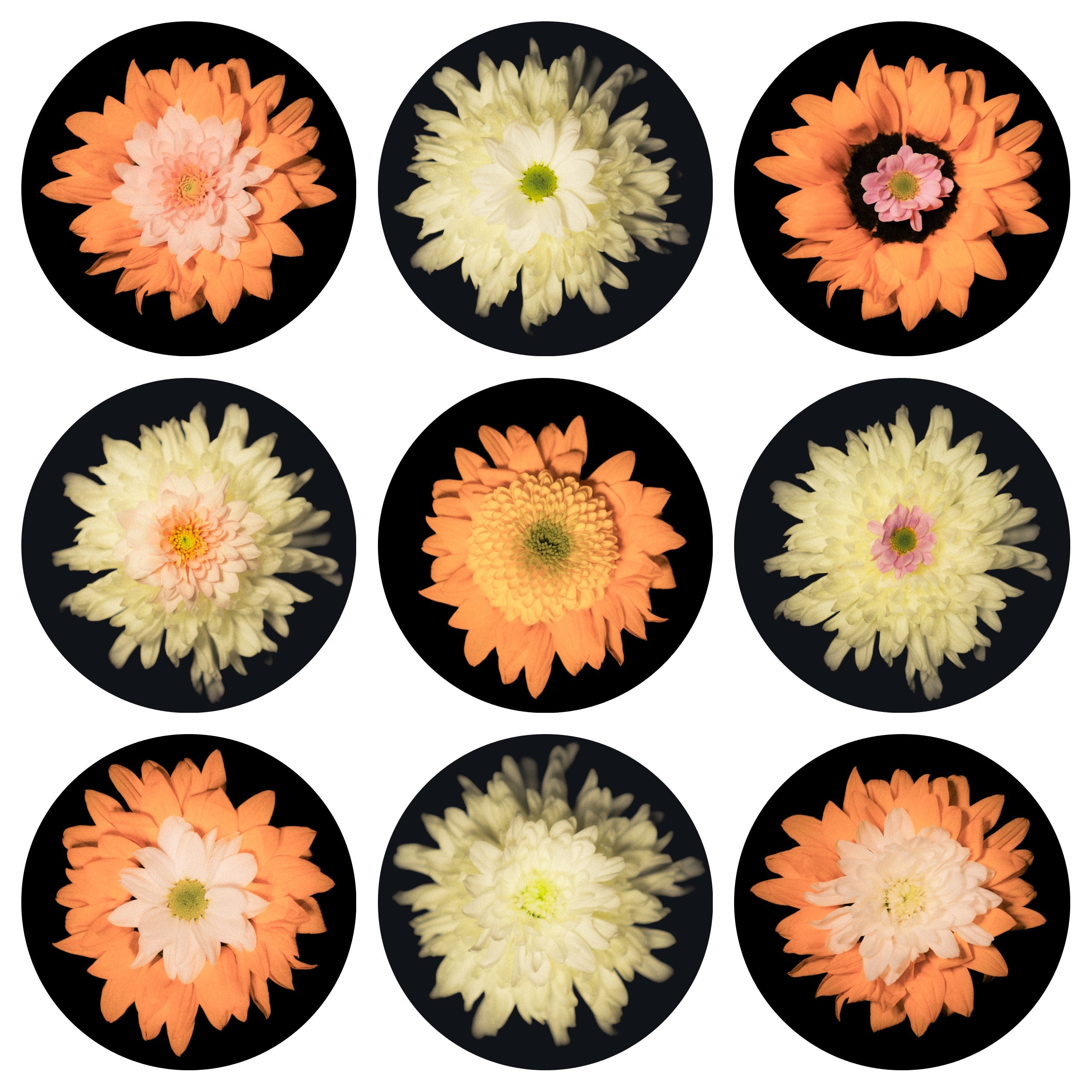 Единство (серия). Мистические фотосессии в Санкт-Петербурге от мистика Ильи Шенгелия