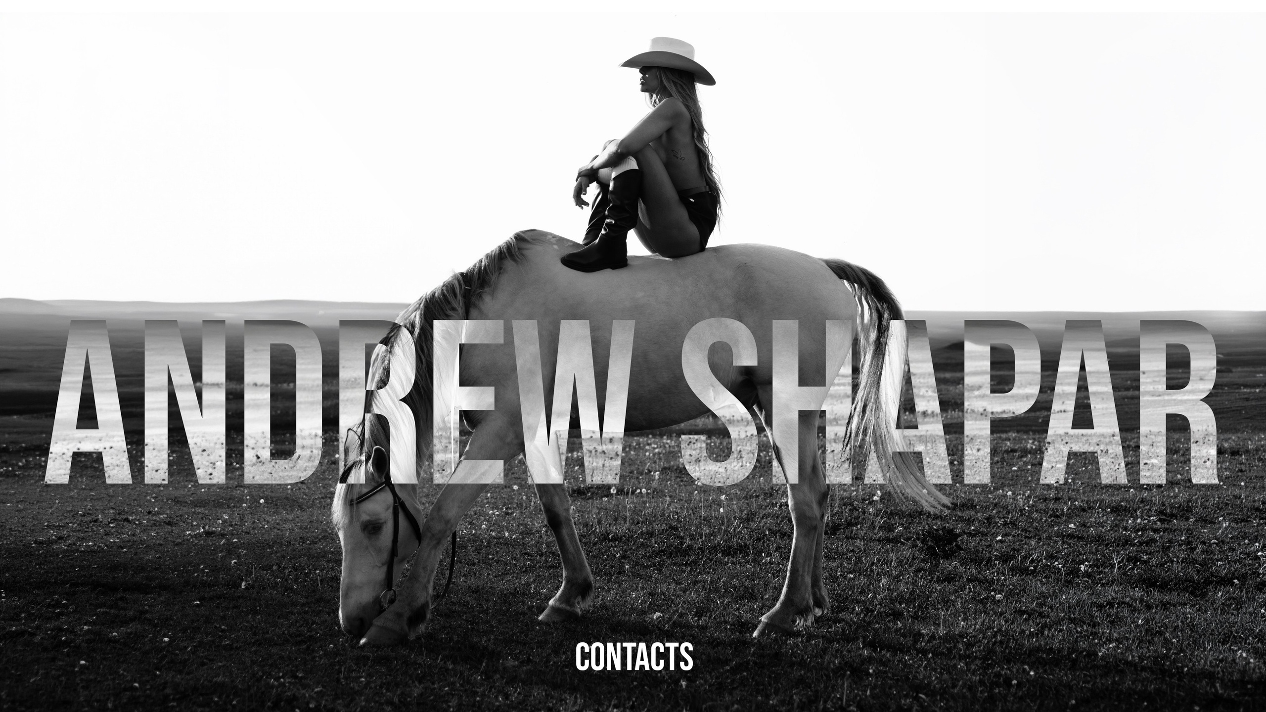 CONTACTS. ANDREW SHAPAR