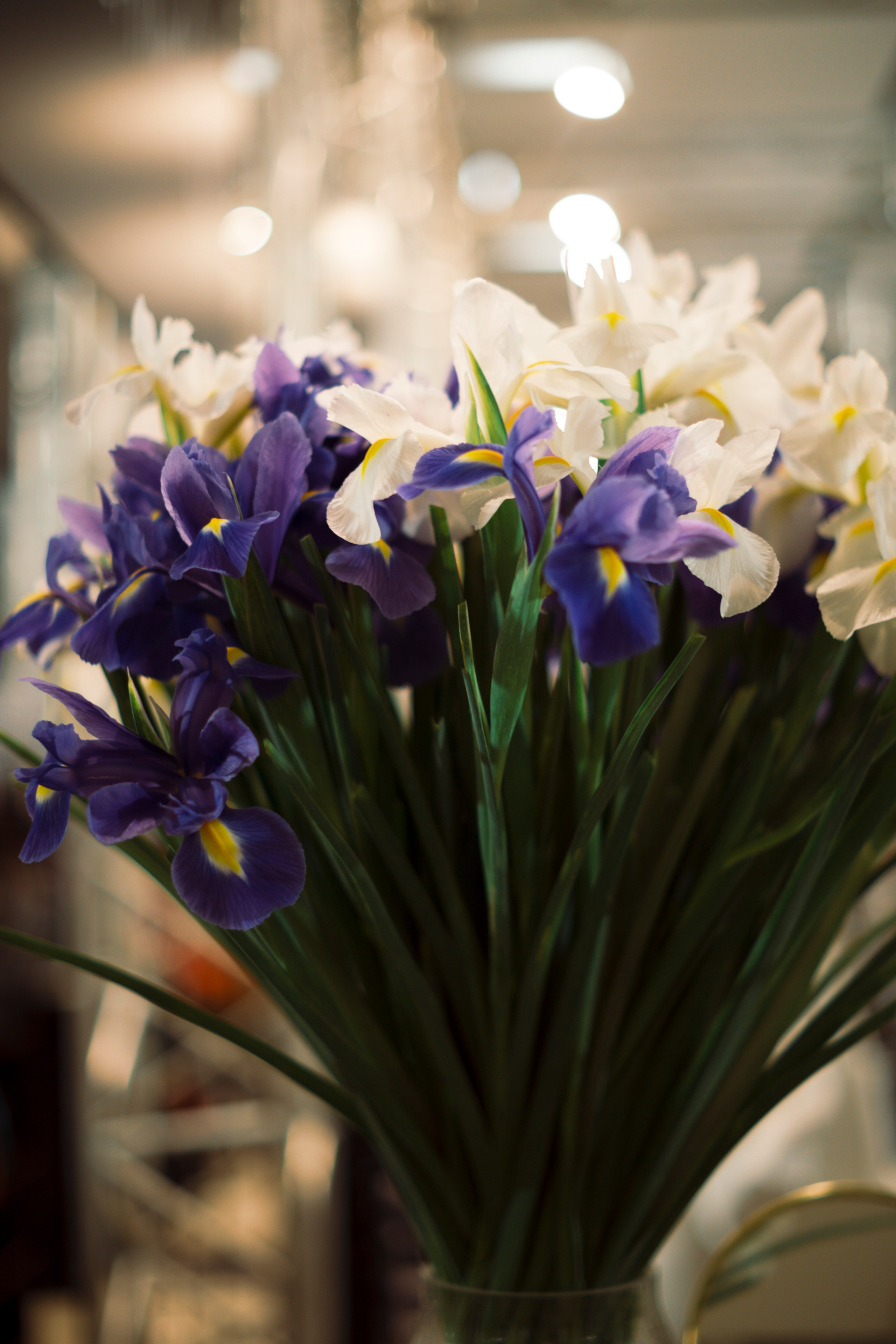 Fashion Week 2025. Свадебный фотограф в Москве Кристина Чехова