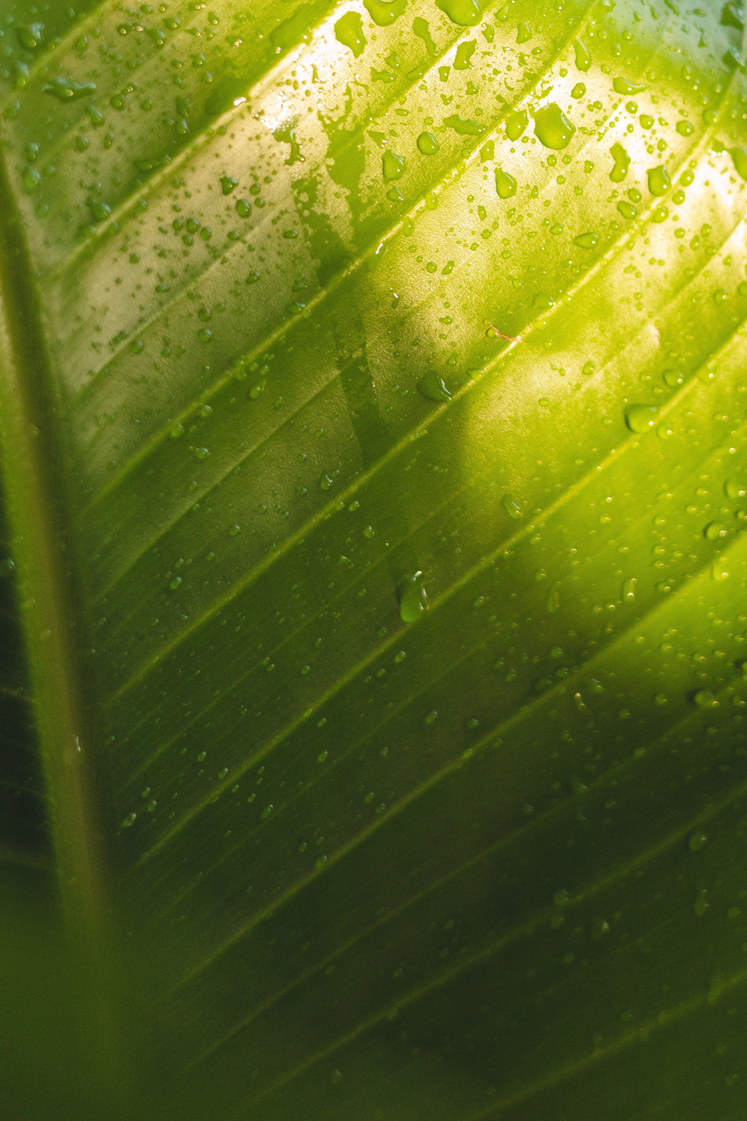 Предметная съемка для бизнеса. Фотограф в Санкт-Петербурге Осокина Елизавета