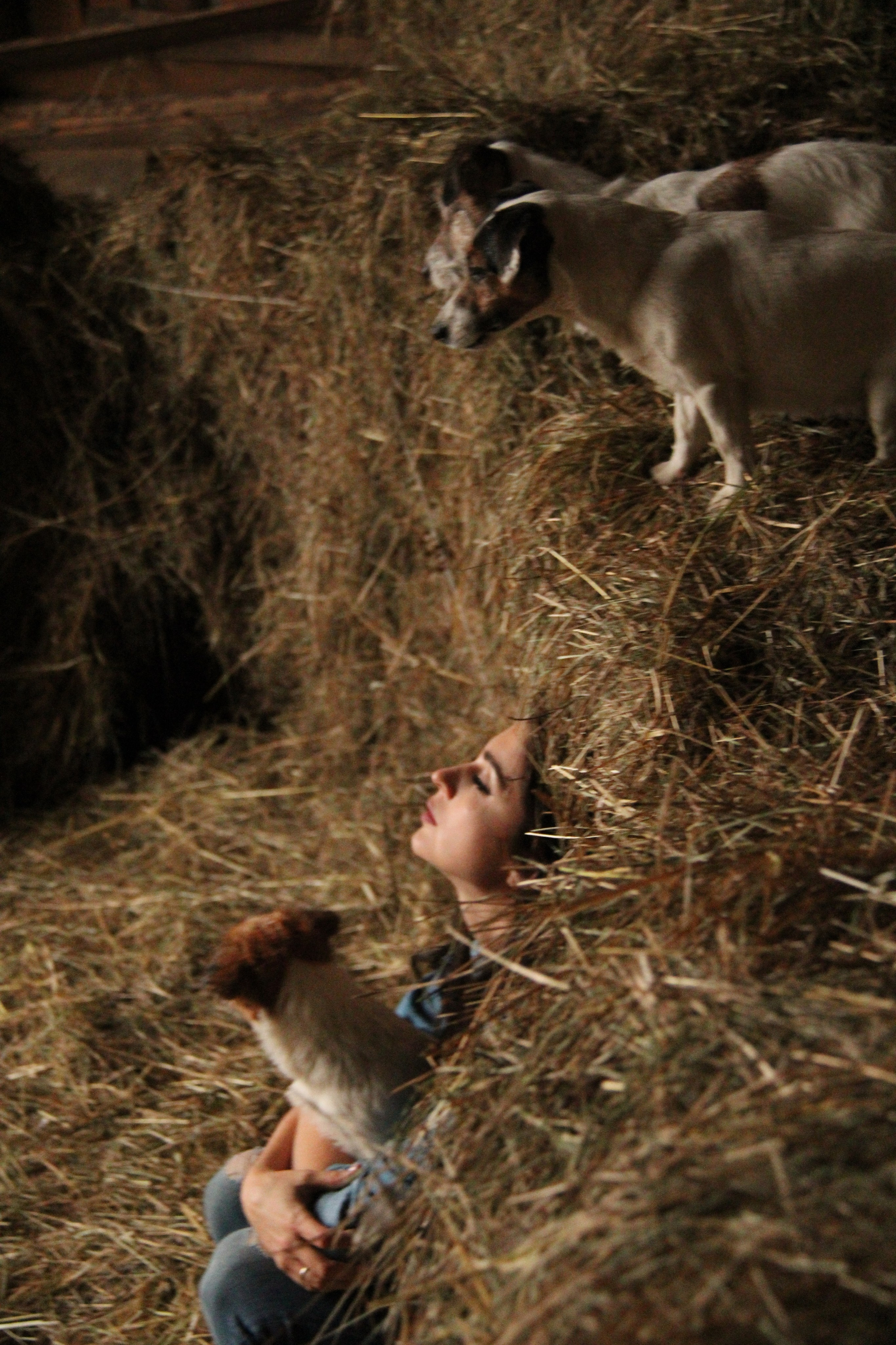 Тематическая съемка