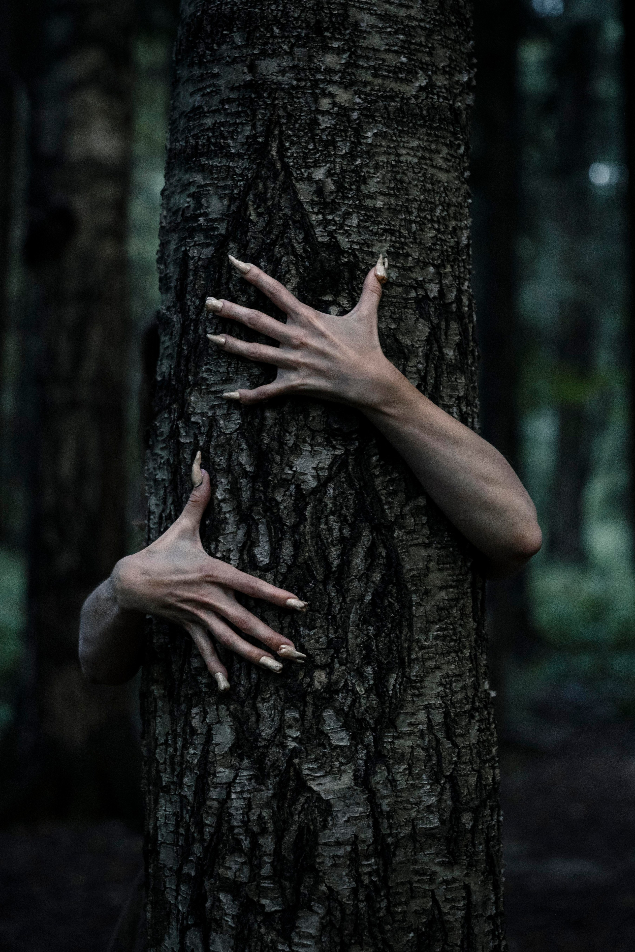 DAMAGE NAILS. Dubrovina photo