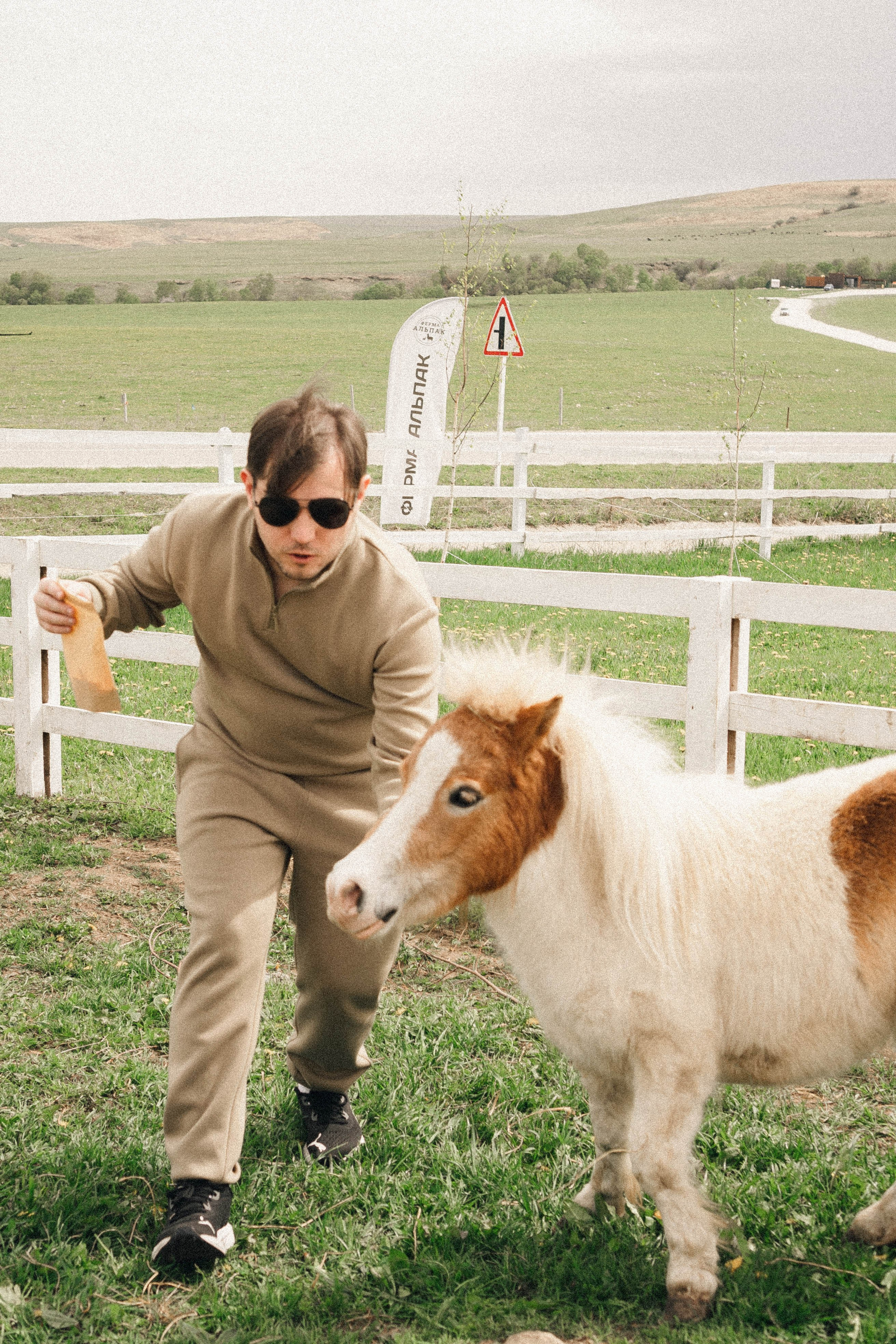 Ферма Альпак. Профессиональный фотограф, Санкт-Петербург — Виктория Богомолова