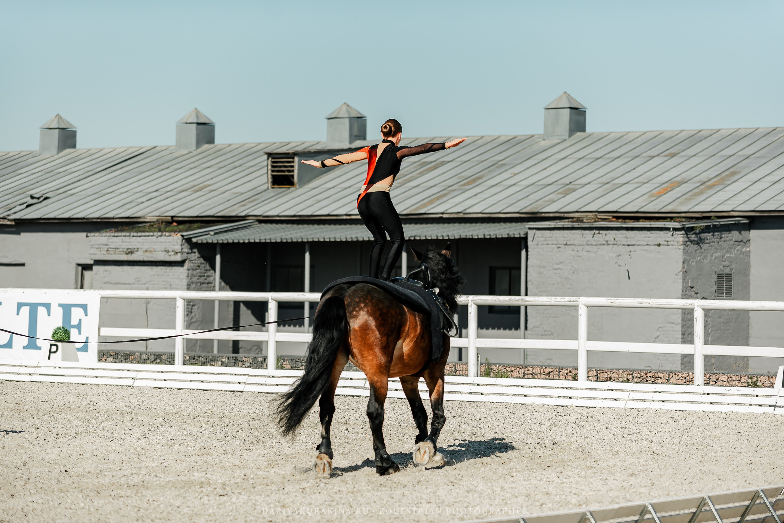 РЕПОРТАЖ МКК ВОЛЬТ «LA TULIPS». Конный фотограф Куракина Дарья • Фотосессии с лошадьми