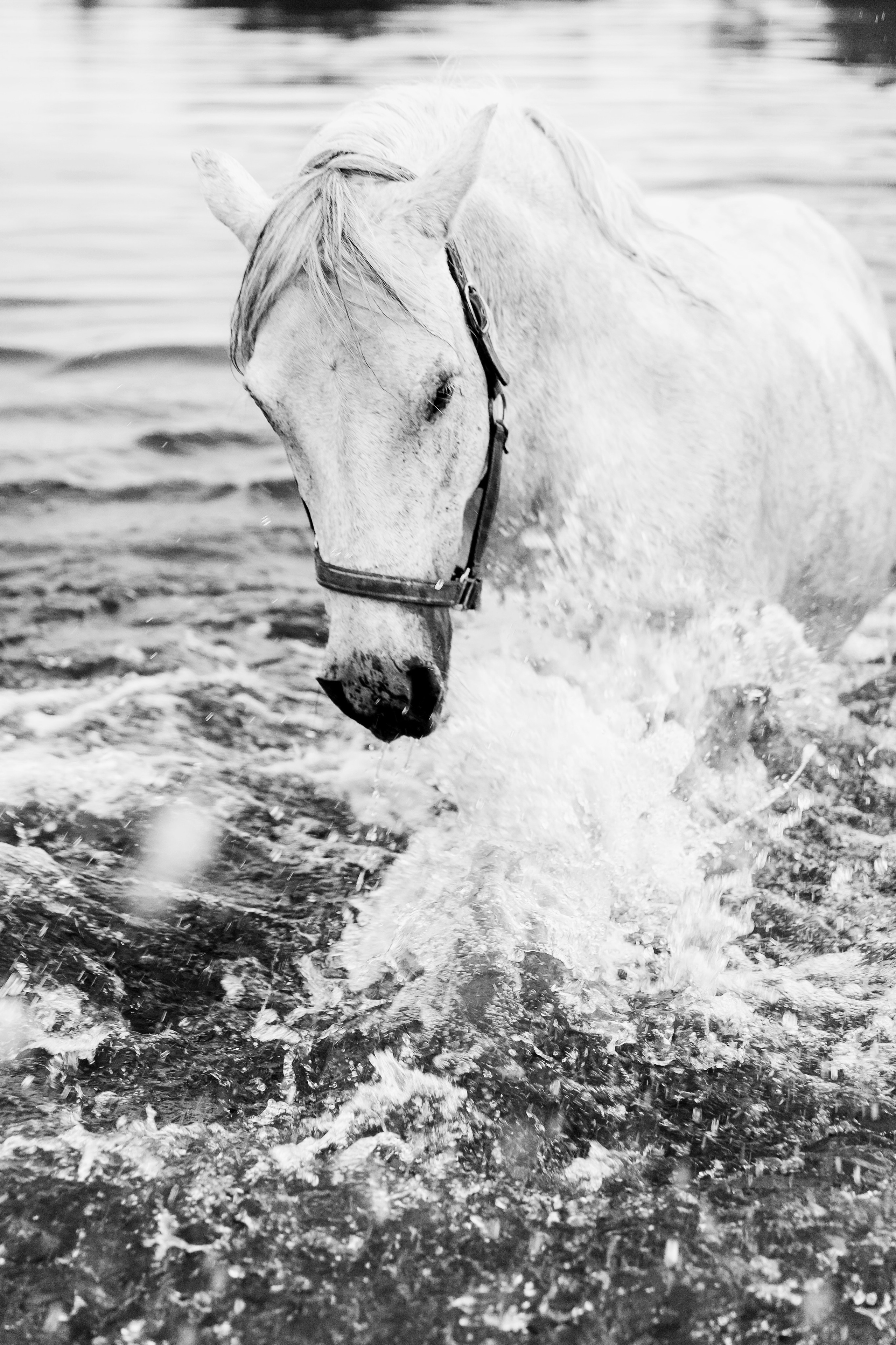 Анастасия. Свадебный и семейный фотограф Александра Кос