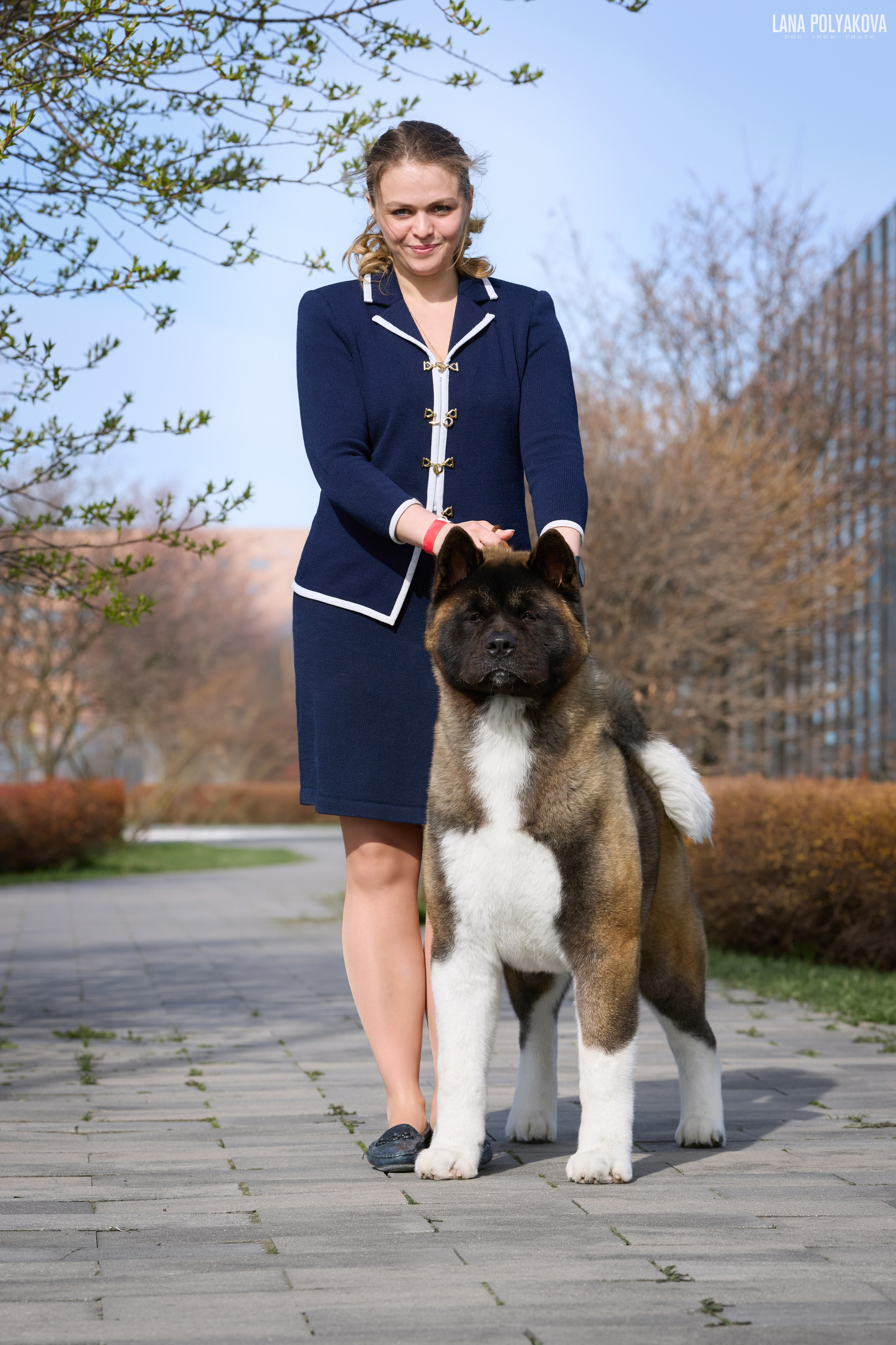 ГРАН ПРИ ВЕСЕННИЙ ПЕТЕРБУРГ 2026. ФОТОГРАФ-АНИМАЛИСТ l LANA POLYAKOVA