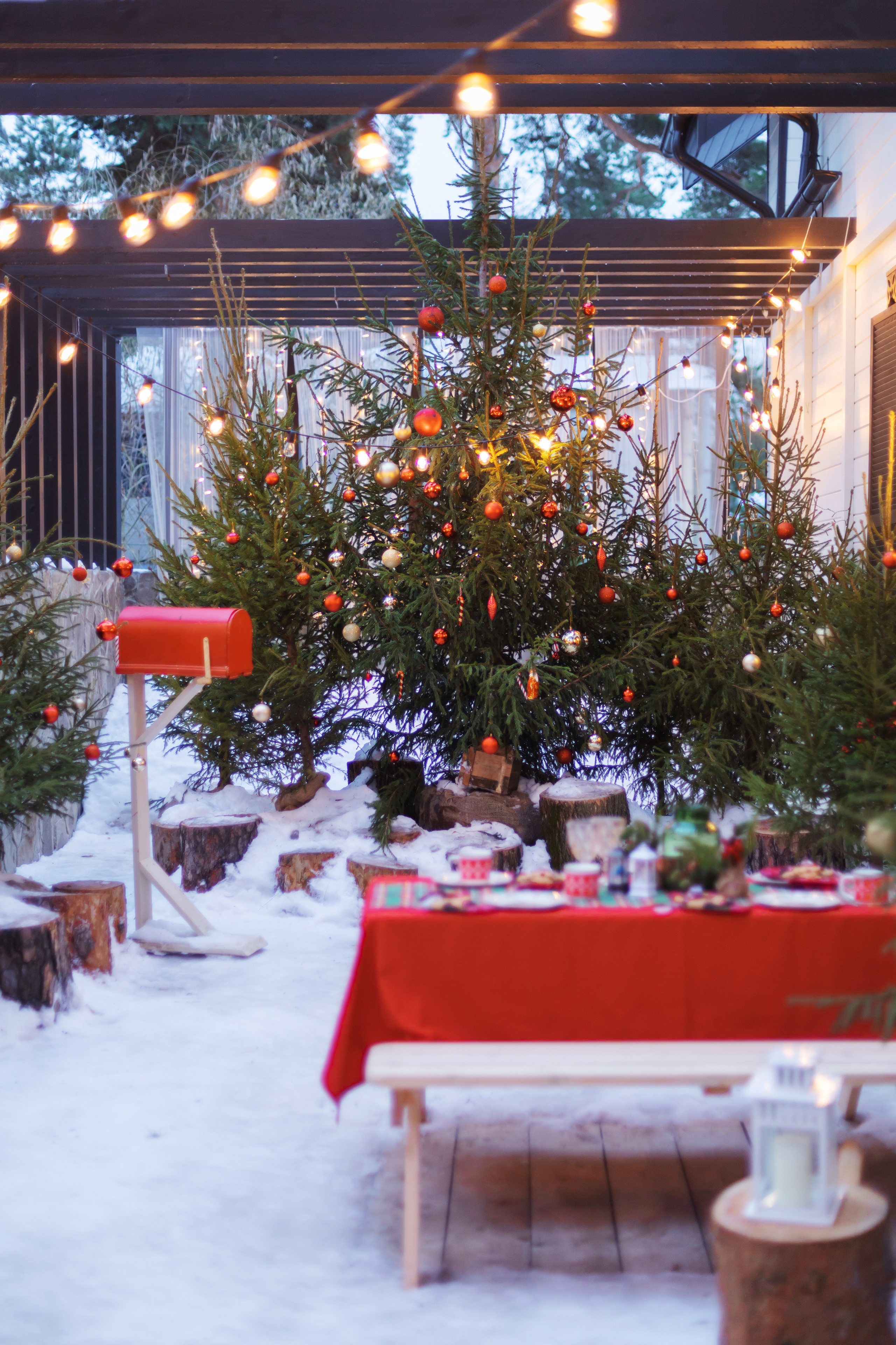 Нежная съемка для Анастасии и Дмитрия. Ваш фотограф в Москве