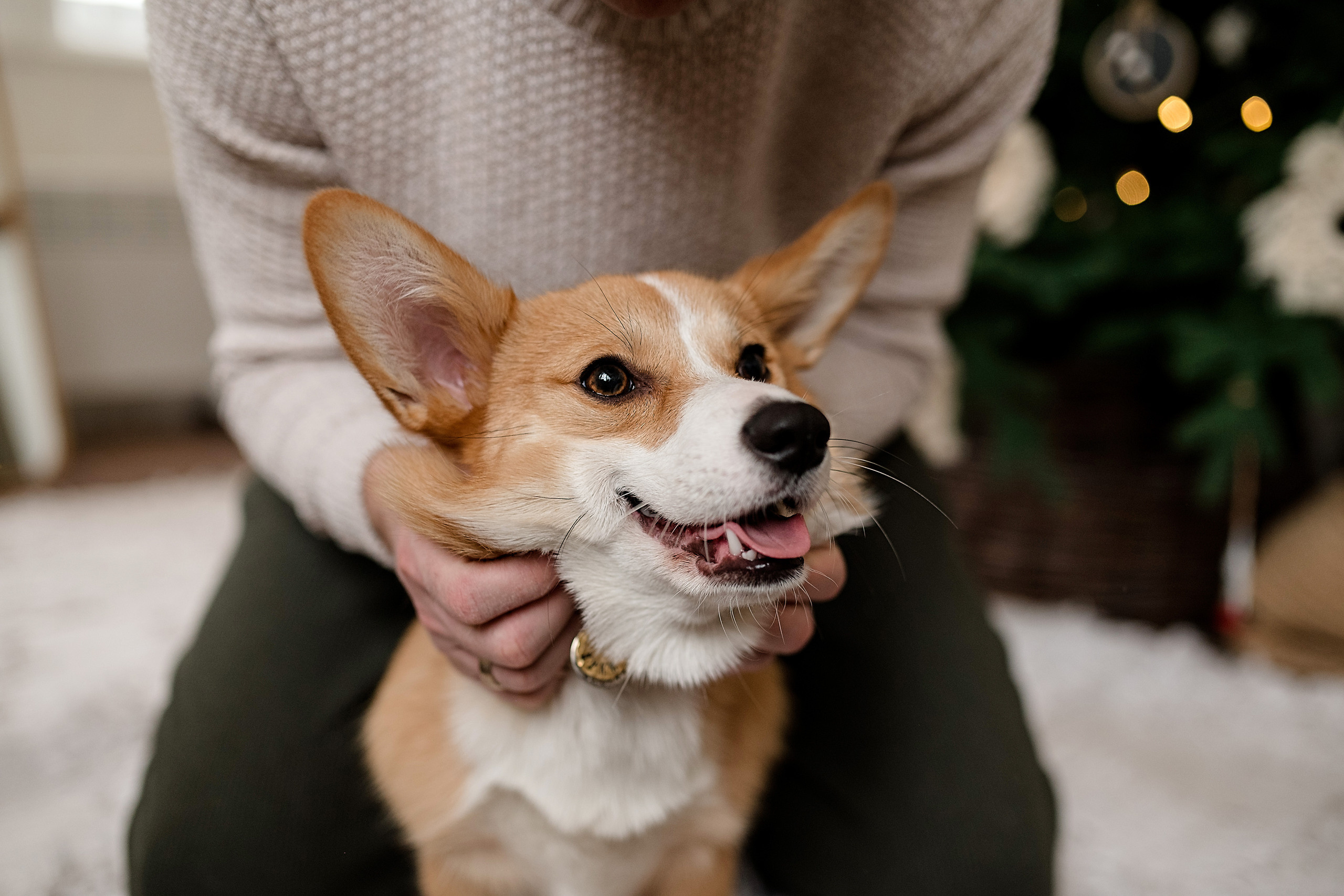 Green Dacha. Семейный и контент фотограф