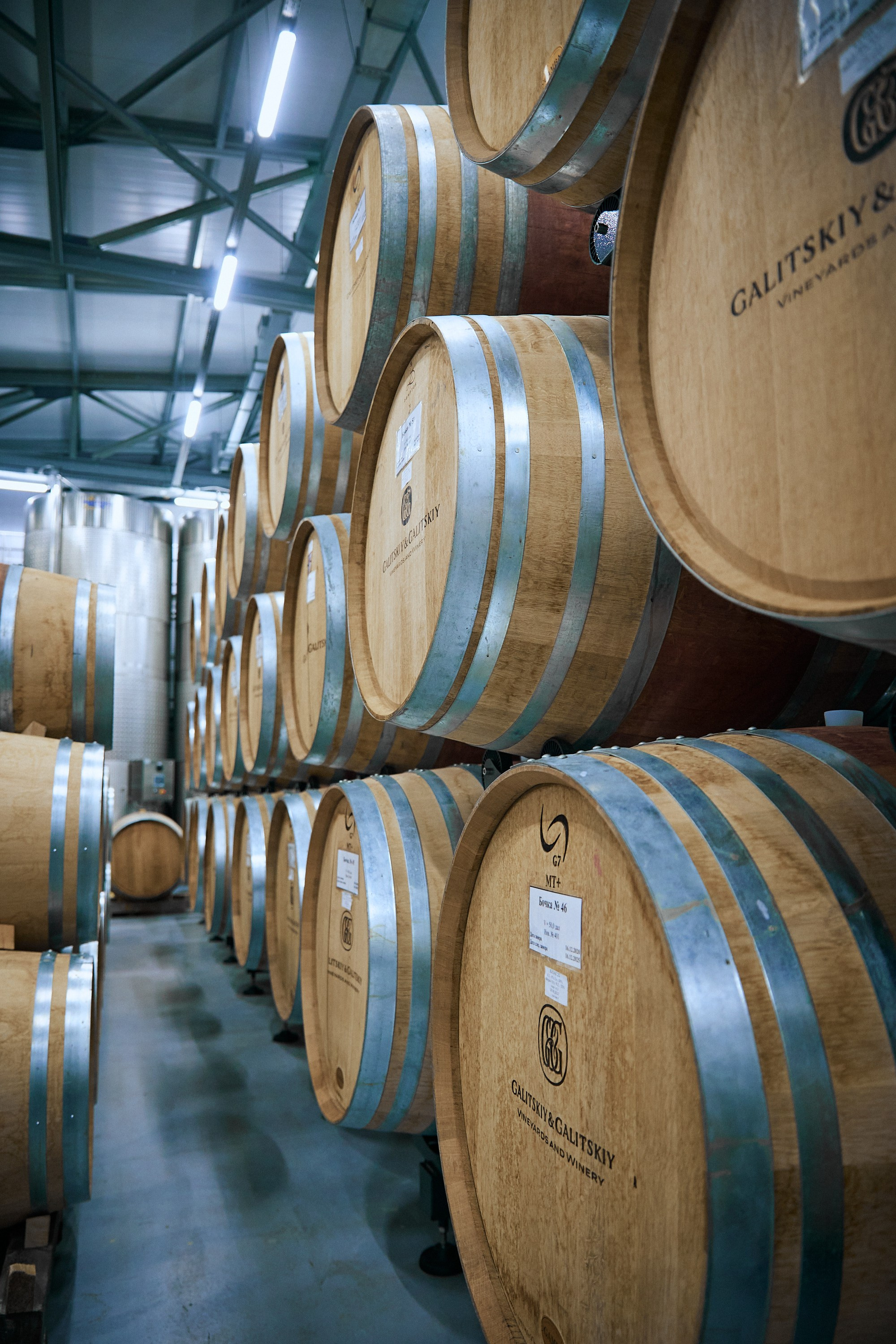 Galitsky & Galitsky. ПОЧЕМУ? СТУДИЯ