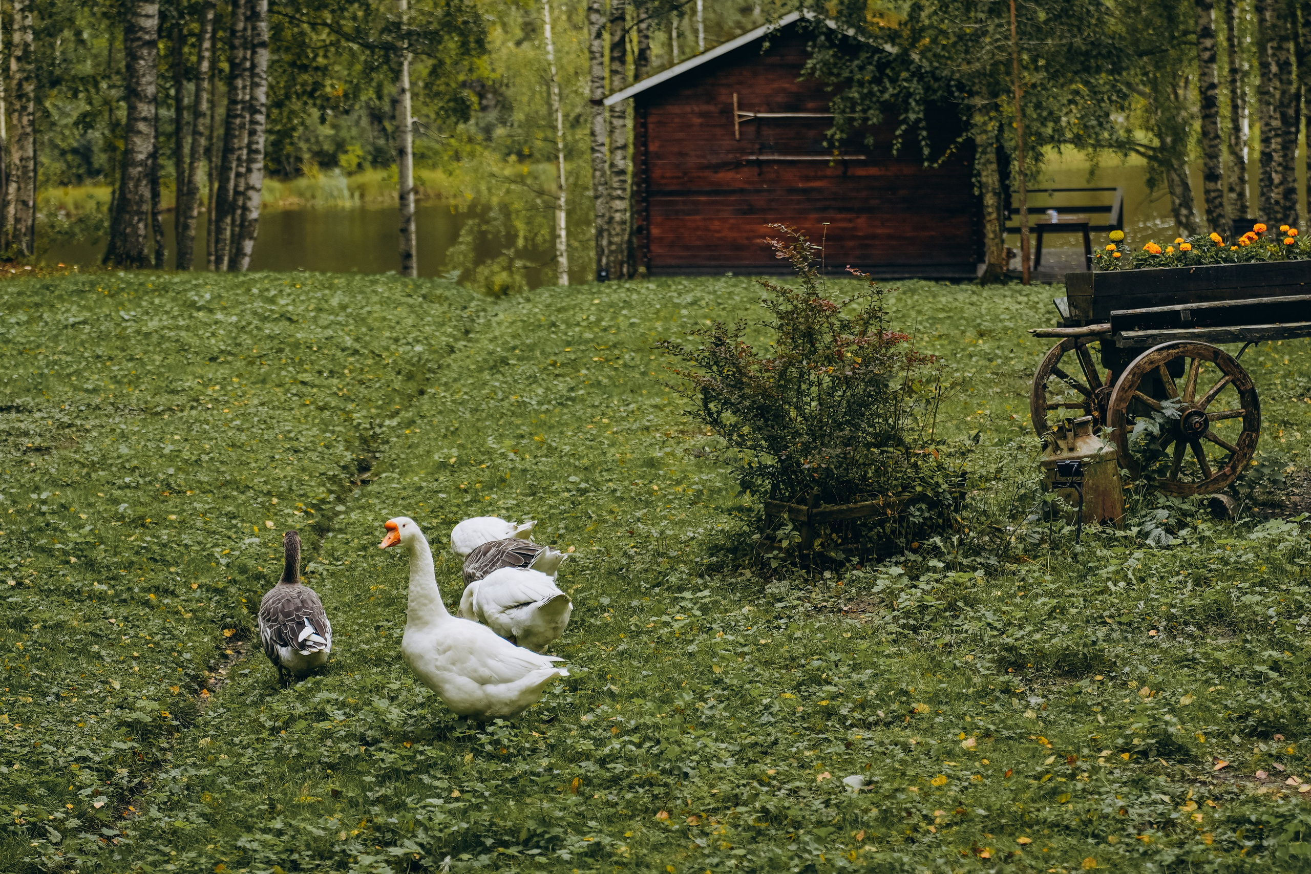 СЕВЕР. Event фотограф Степанова Александра