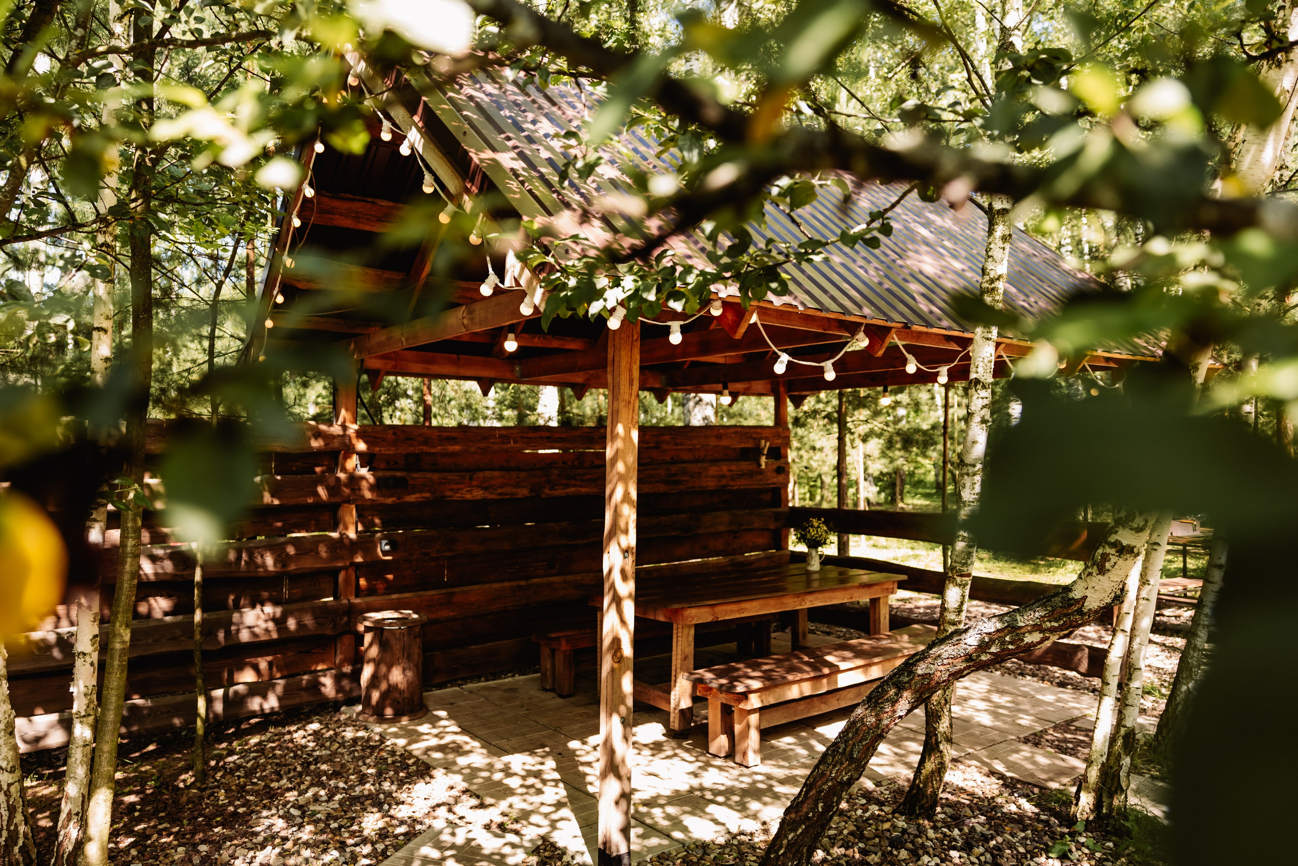 БЕРЕЗКА ВИЛАДЖ | Глэмпинг в Коломне | Юрта «Лесная». ФОТОГРАФ ИРИНА ШАМАТАВА