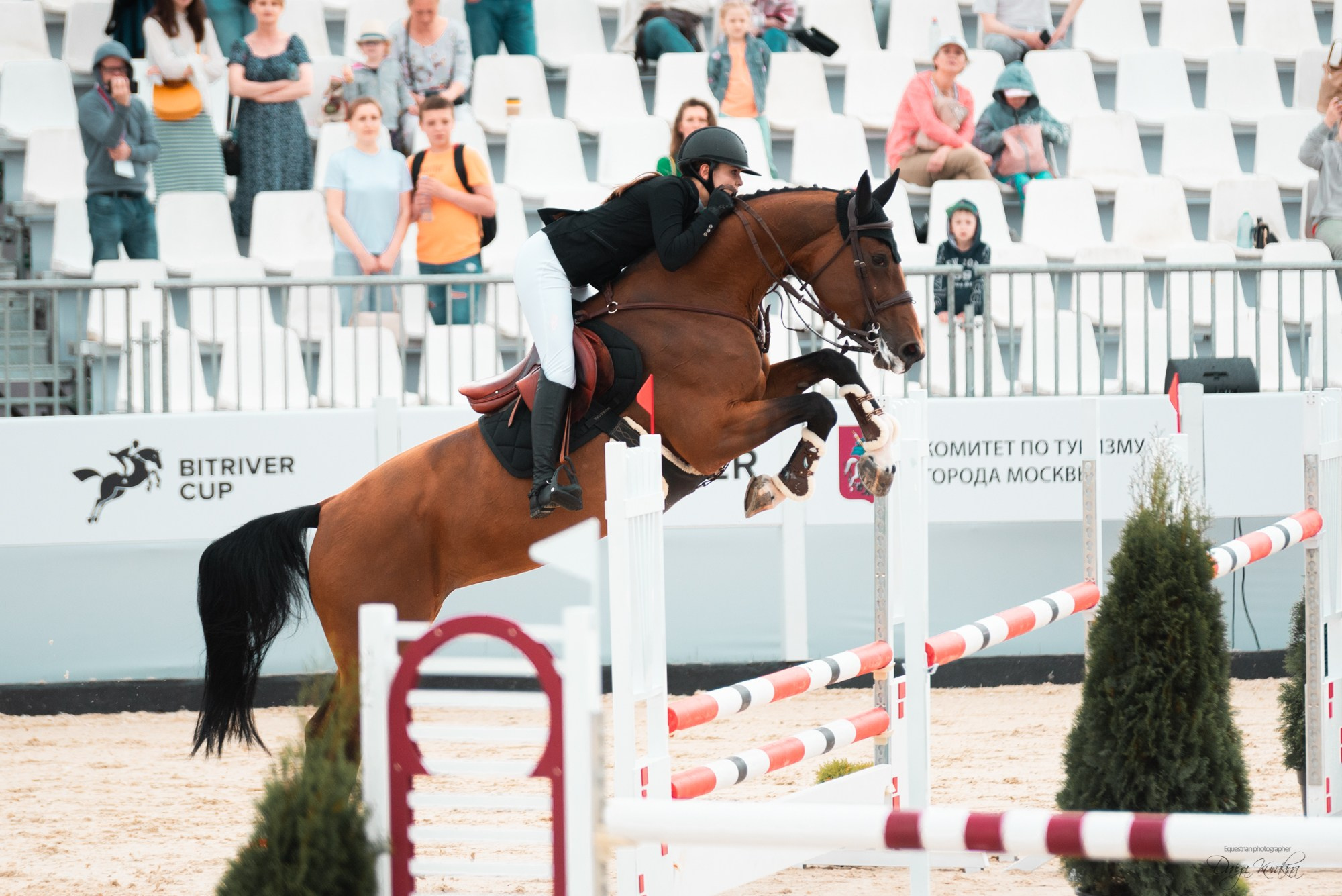 BITRIVER CUP 2023. Конный фотограф Куракина Дарья • Фотосессии с лошадьми