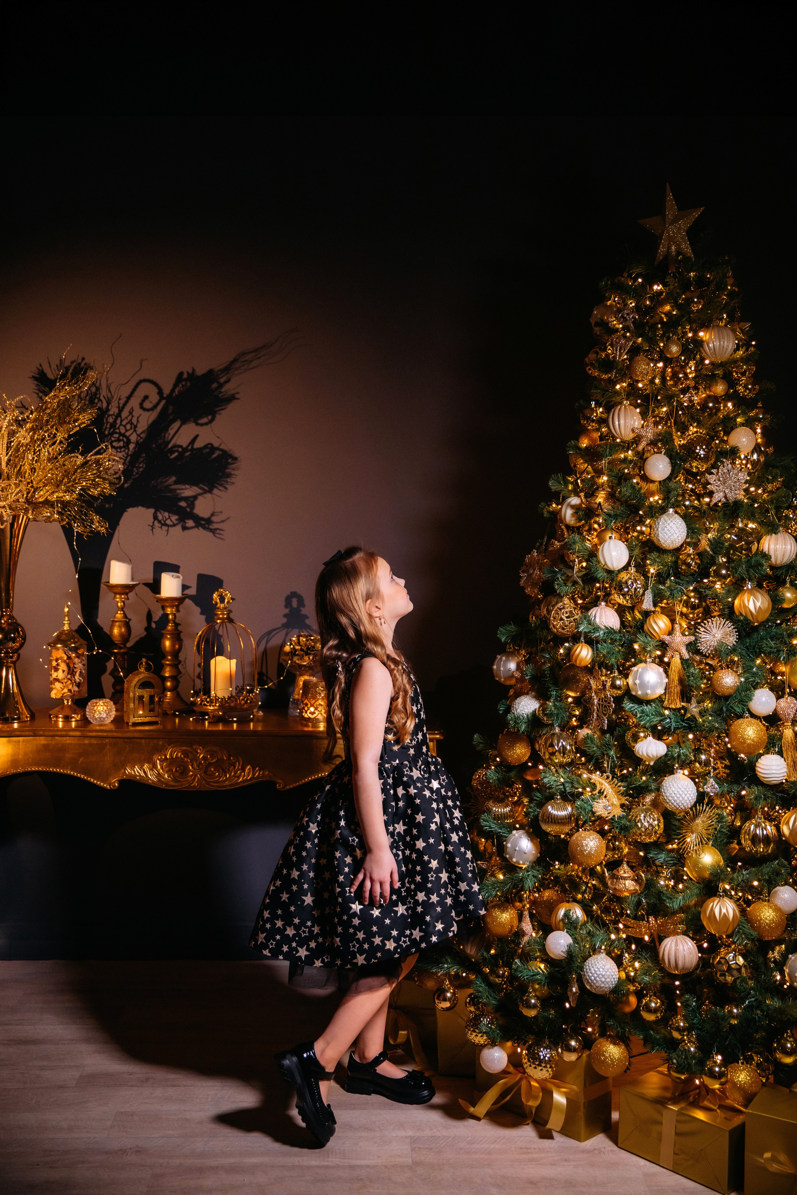 НОВЫЙ 2024 ГОД. Женский и семейный фотограф Елена Петрова