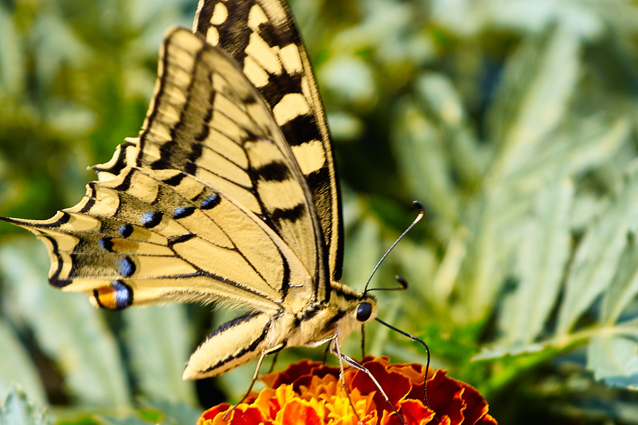 Фотографии природы