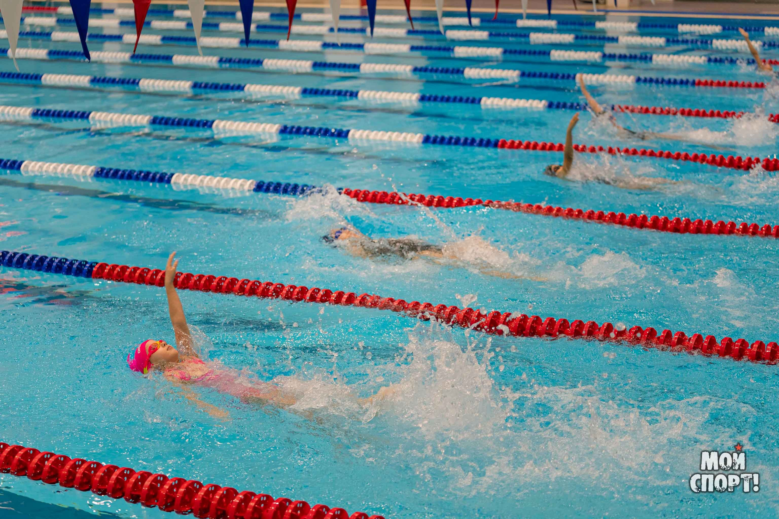 Соревнования по плаванию на призы Деда Мороза. Студия «Мой Спорт!» — все о спорте в Якутии