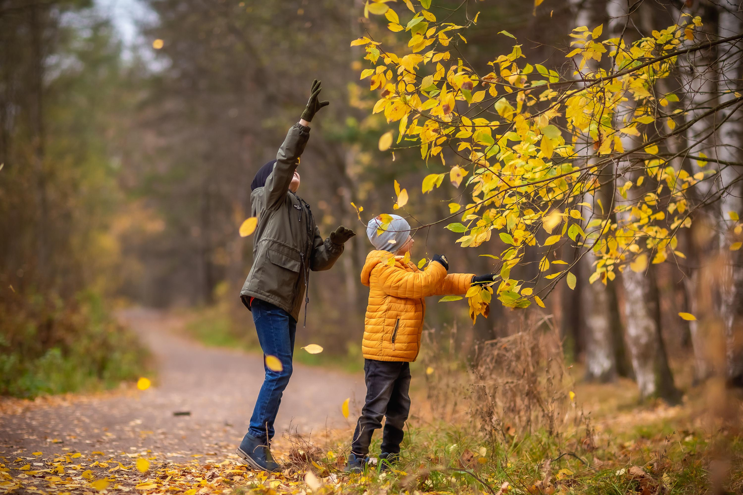 Осенняя съемка Олег и Дениска в Шуваловском парке. Репортажный, семейный, свадебный фотограф Санкт-Петербург Ольга Лесюк