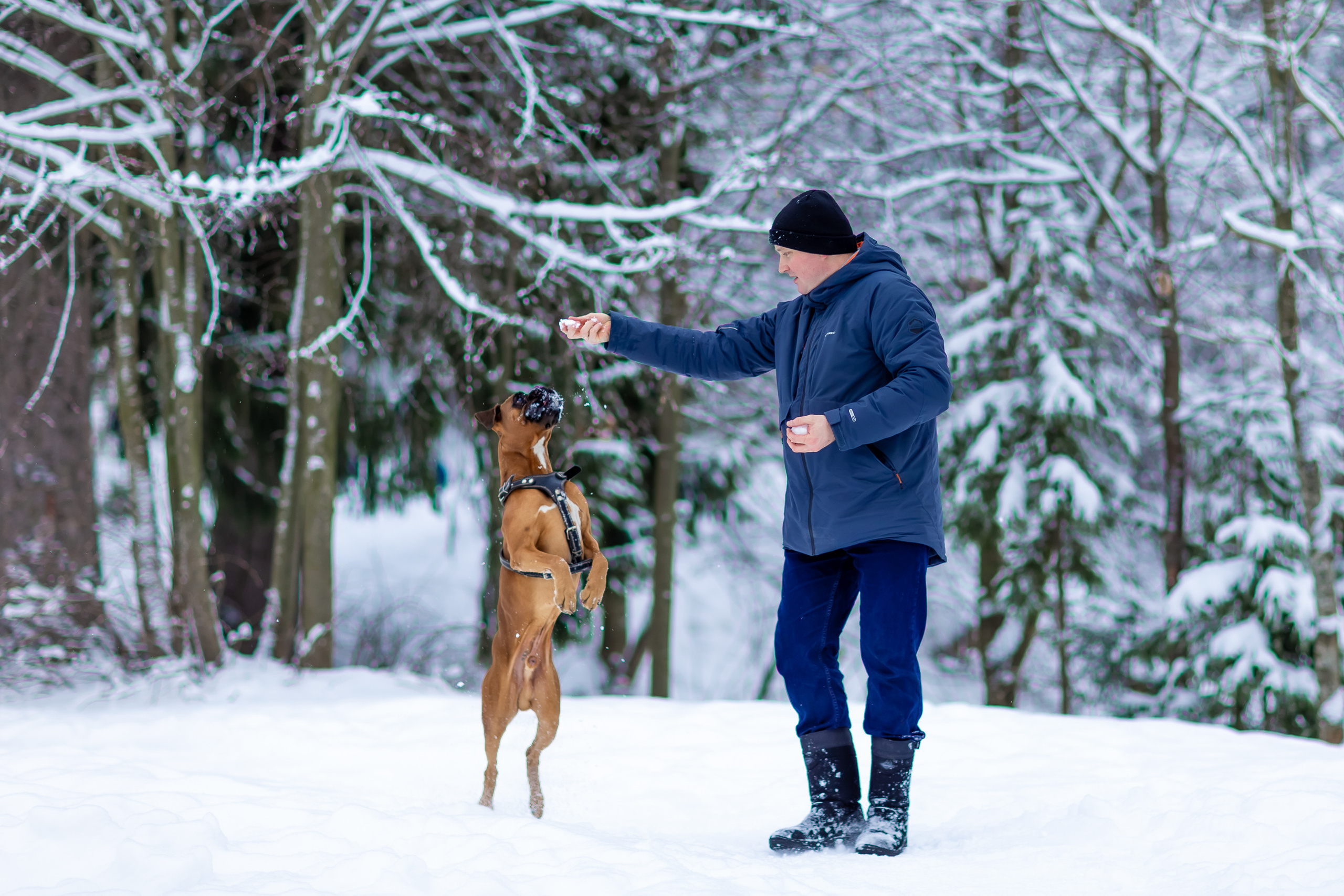 Андрей, Екатерина, Тёма и Норд. Репортажный, семейный, свадебный фотограф Санкт-Петербург Ольга Лесюк