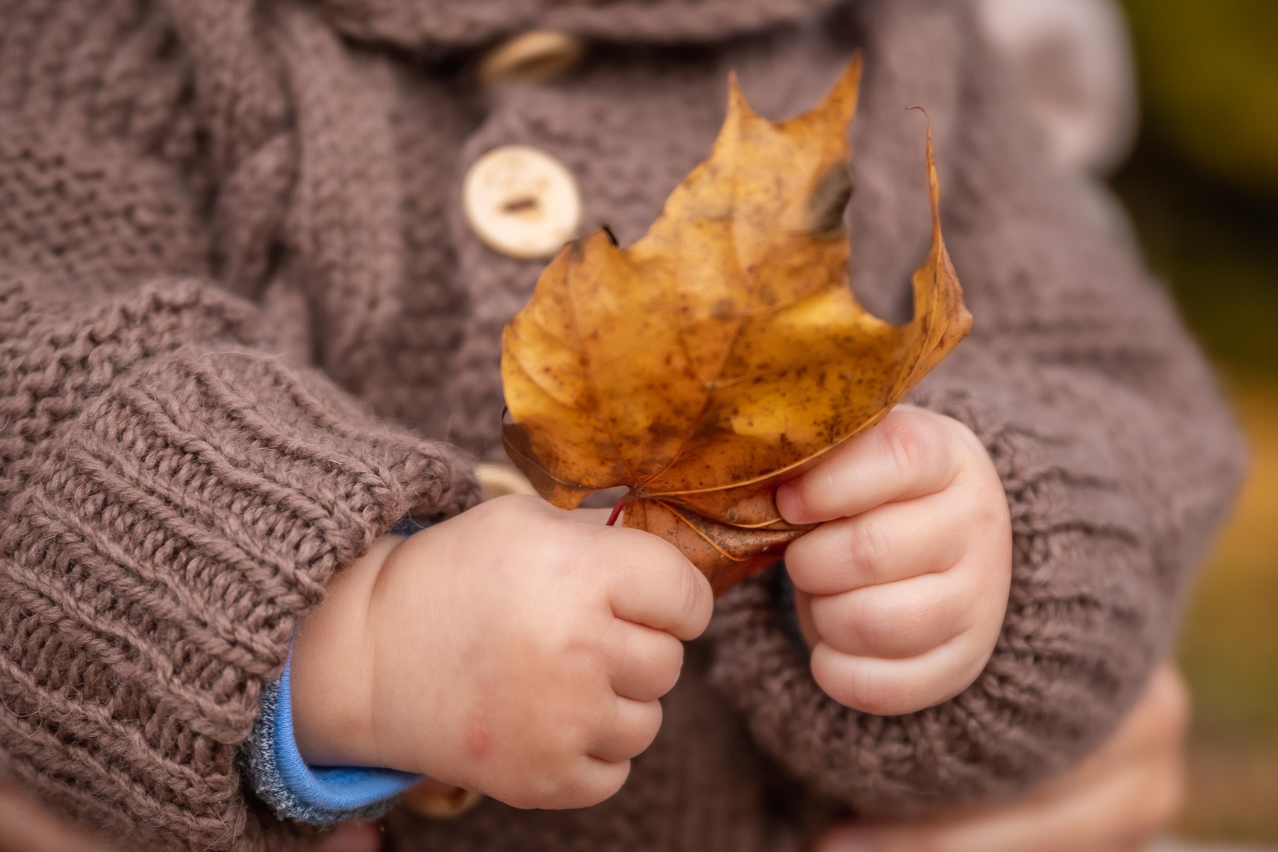 Осенняя съемка малышей в парке. Репортажный, семейный, свадебный фотограф Санкт-Петербург Ольга Лесюк