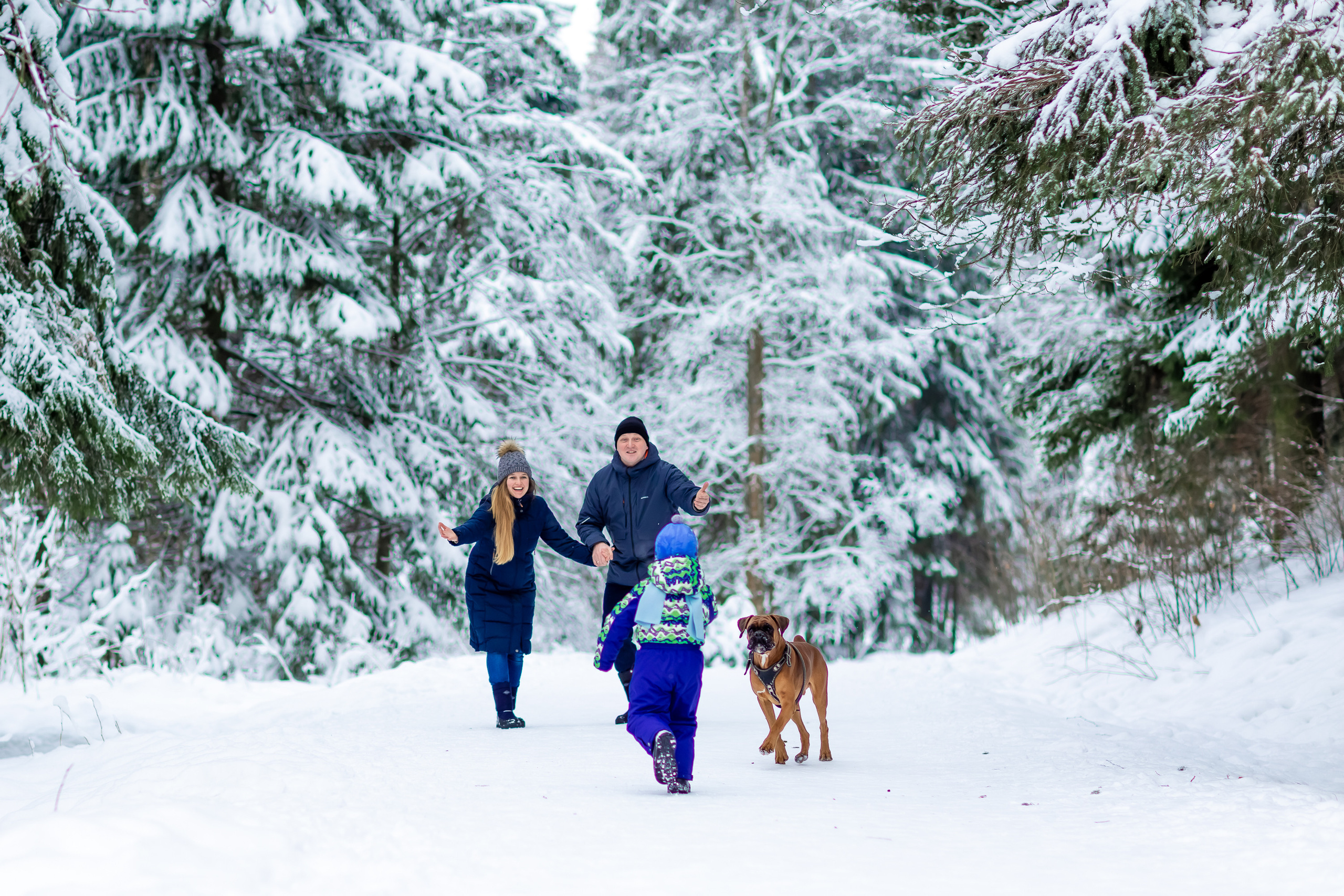 Андрей, Екатерина, Тёма и Норд. Репортажный, семейный, свадебный фотограф Санкт-Петербург Ольга Лесюк