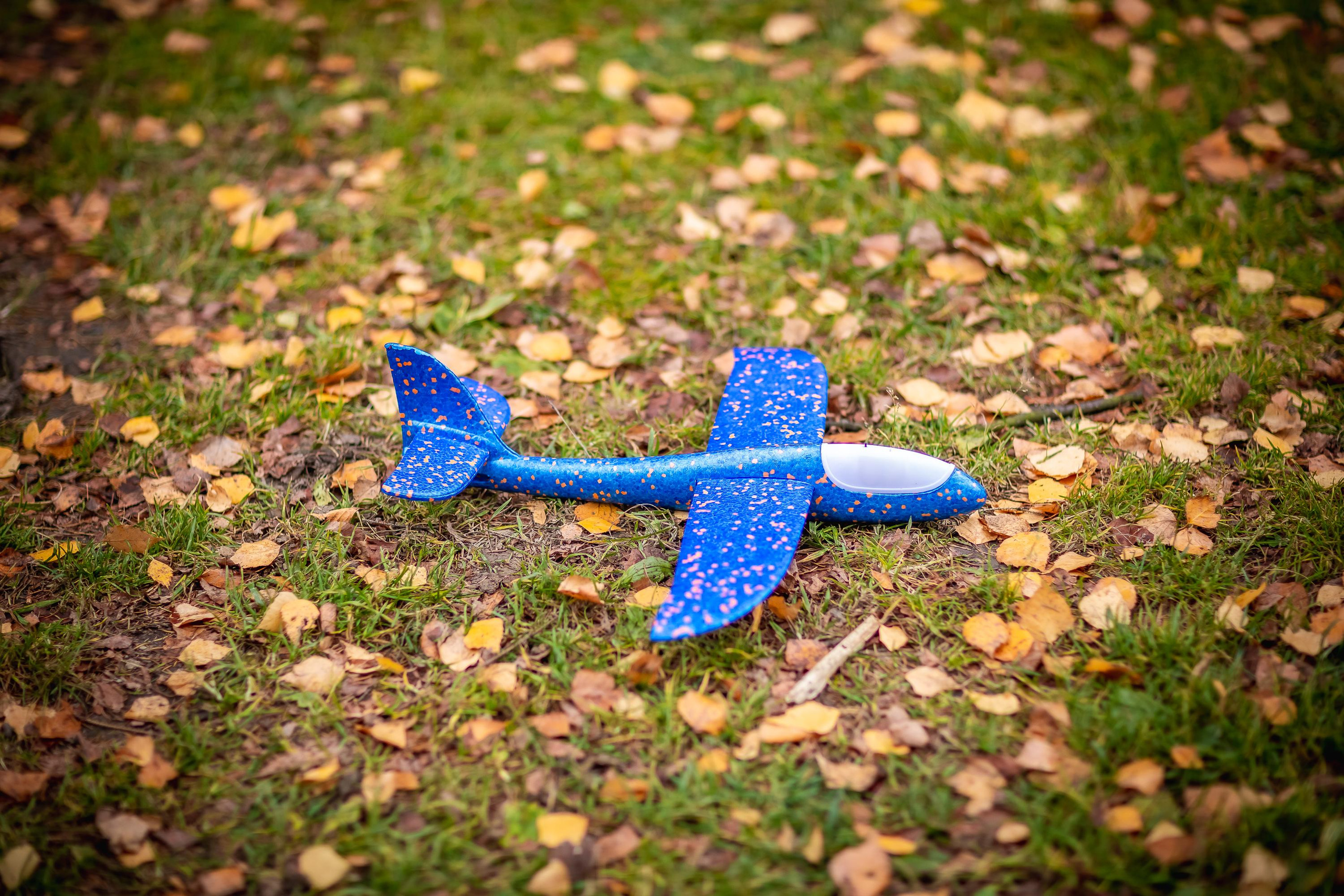 Осенняя съемка Олег и Дениска в Шуваловском парке. Репортажный, семейный, свадебный фотограф Санкт-Петербург Ольга Лесюк