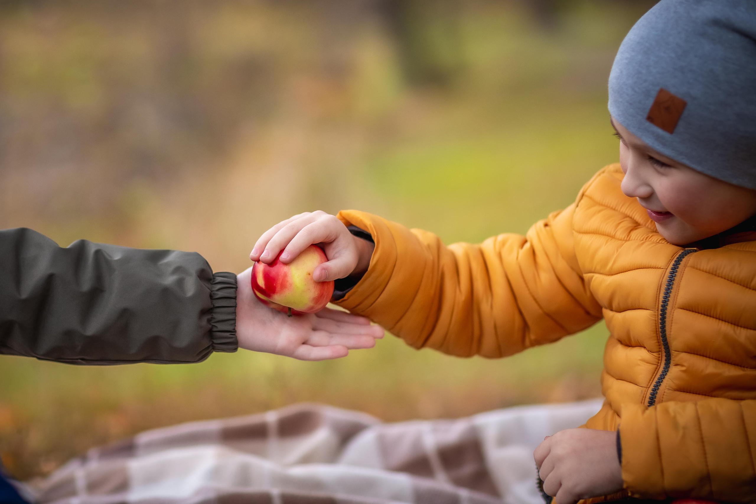Осенняя съемка Олег и Дениска в Шуваловском парке. Репортажный, семейный, свадебный фотограф Санкт-Петербург Ольга Лесюк