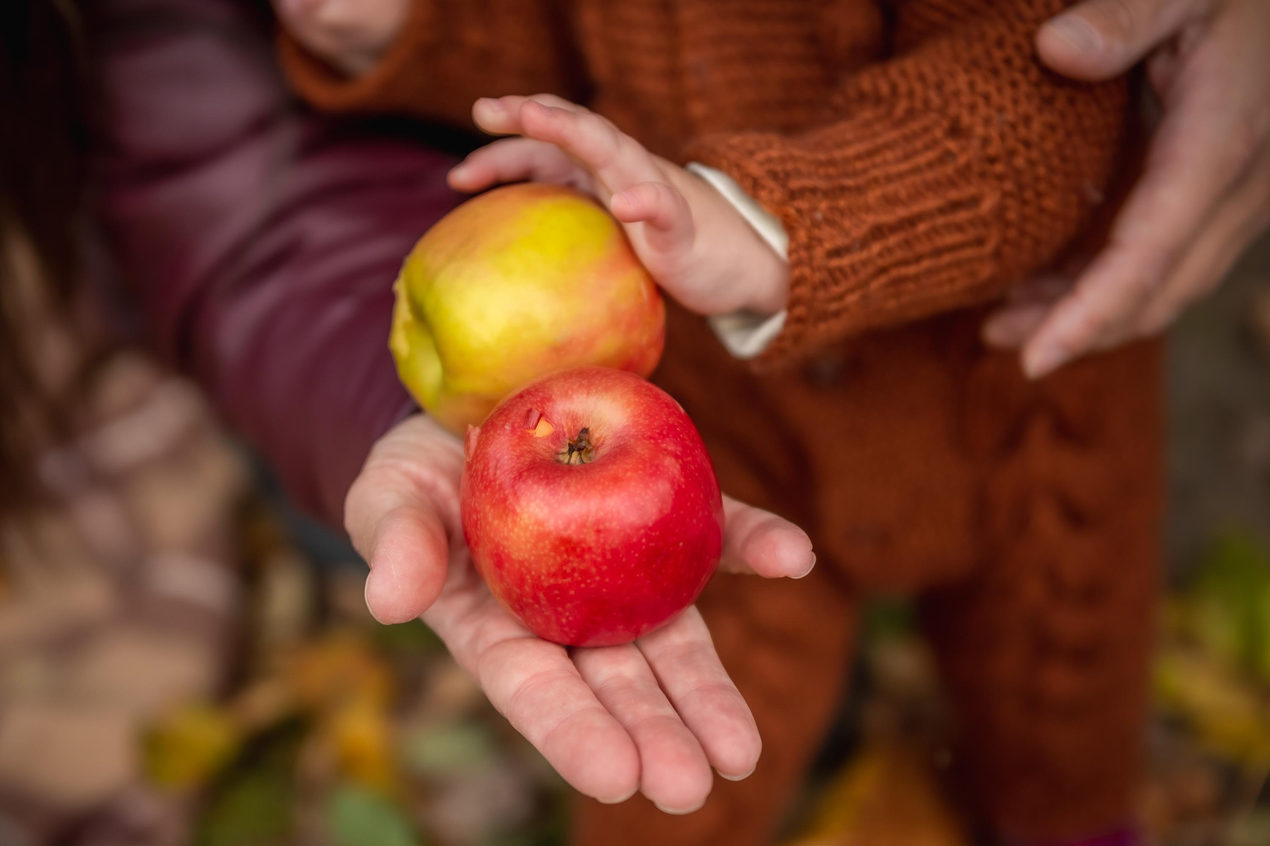 Осенняя съемка малышей в парке. Репортажный, семейный, свадебный фотограф Санкт-Петербург Ольга Лесюк