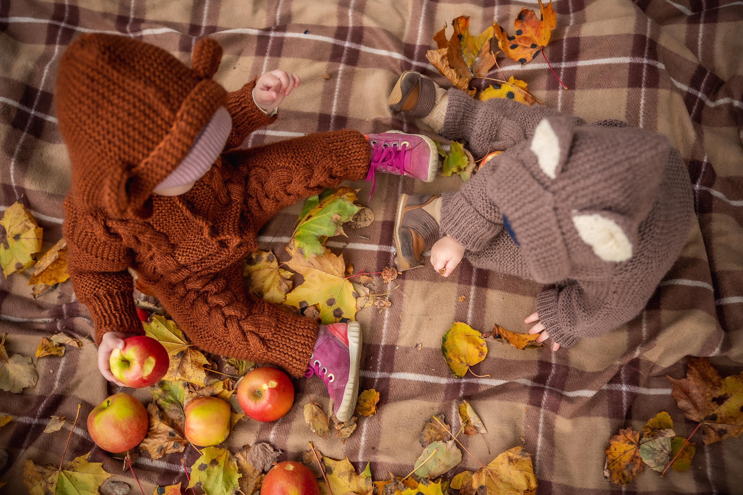 Осенняя съемка малышей в парке. Репортажный, семейный, свадебный фотограф Санкт-Петербург Ольга Лесюк