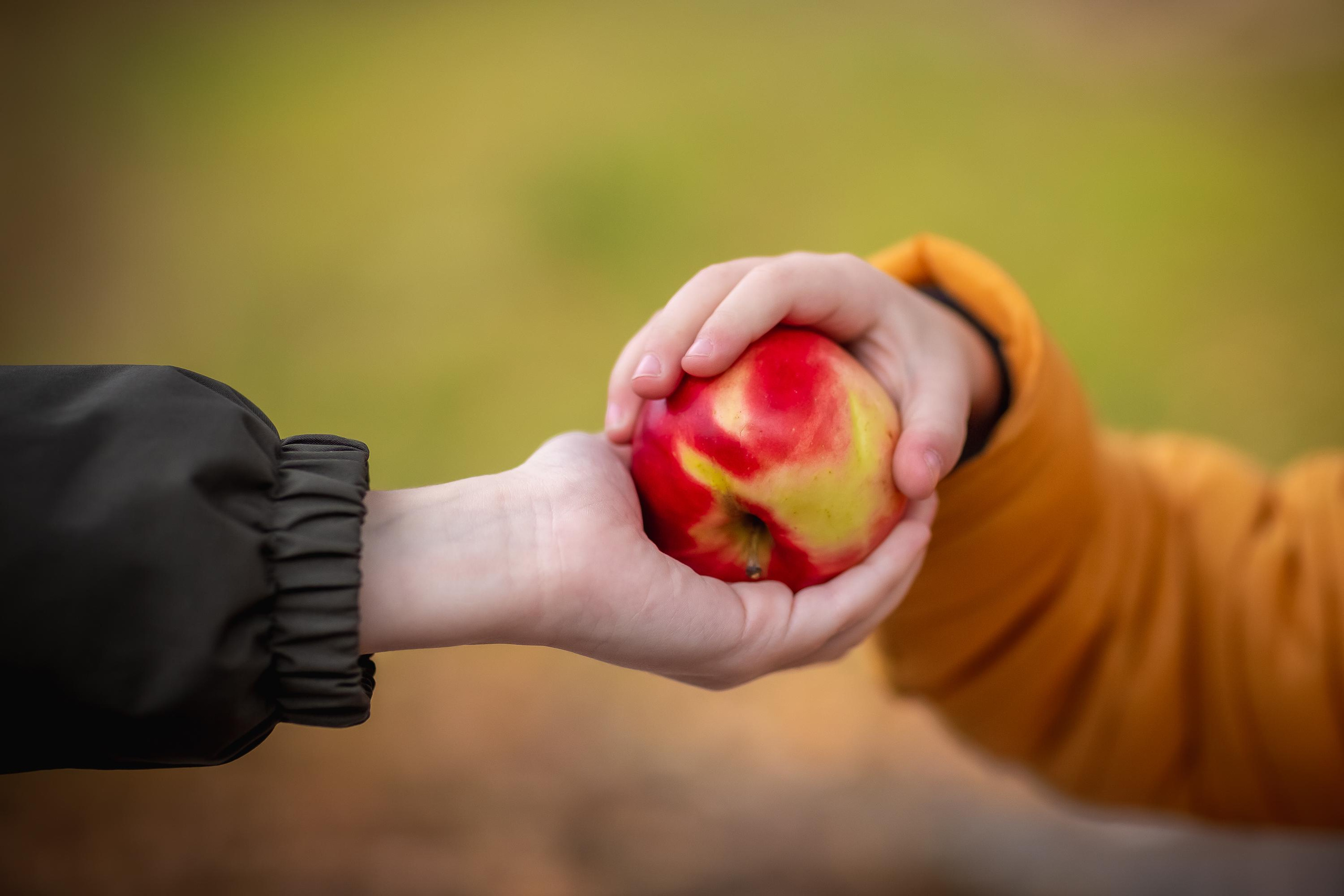 Осенняя съемка Олег и Дениска в Шуваловском парке. Репортажный, семейный, свадебный фотограф Санкт-Петербург Ольга Лесюк