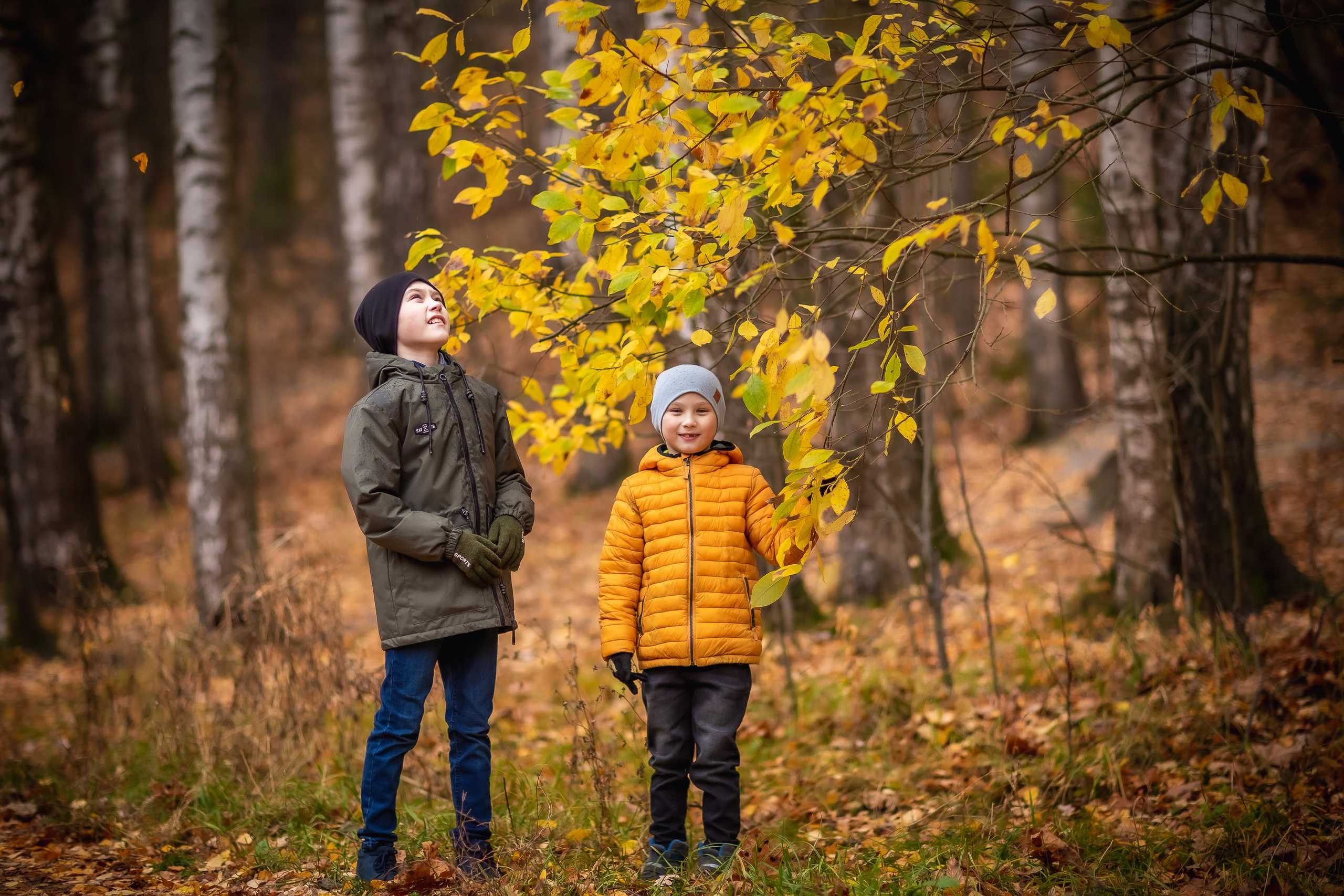 Осенняя съемка Олег и Дениска в Шуваловском парке. Репортажный, семейный, свадебный фотограф Санкт-Петербург Ольга Лесюк