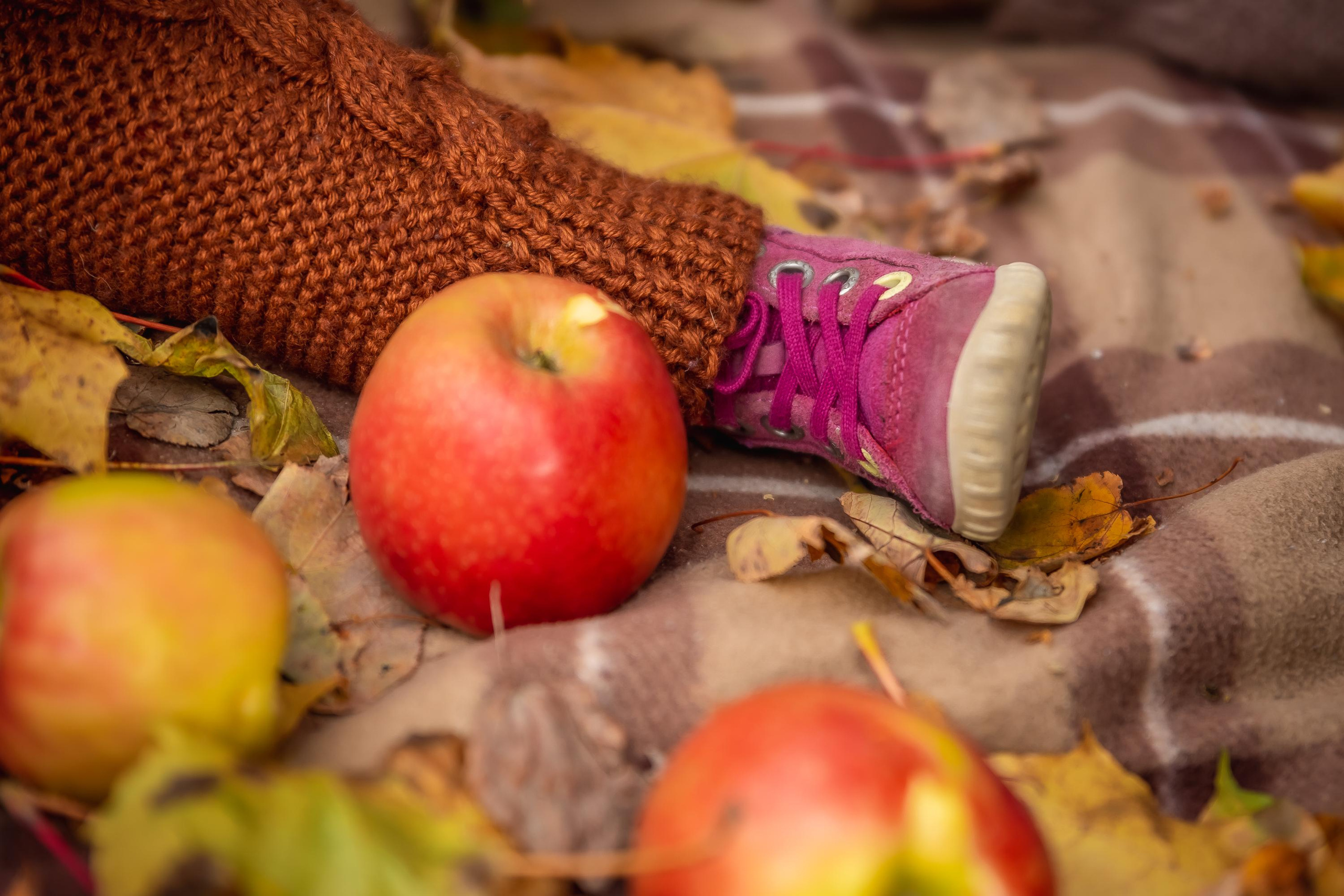 Осенняя съемка малышей в парке. Репортажный, семейный, свадебный фотограф Санкт-Петербург Ольга Лесюк