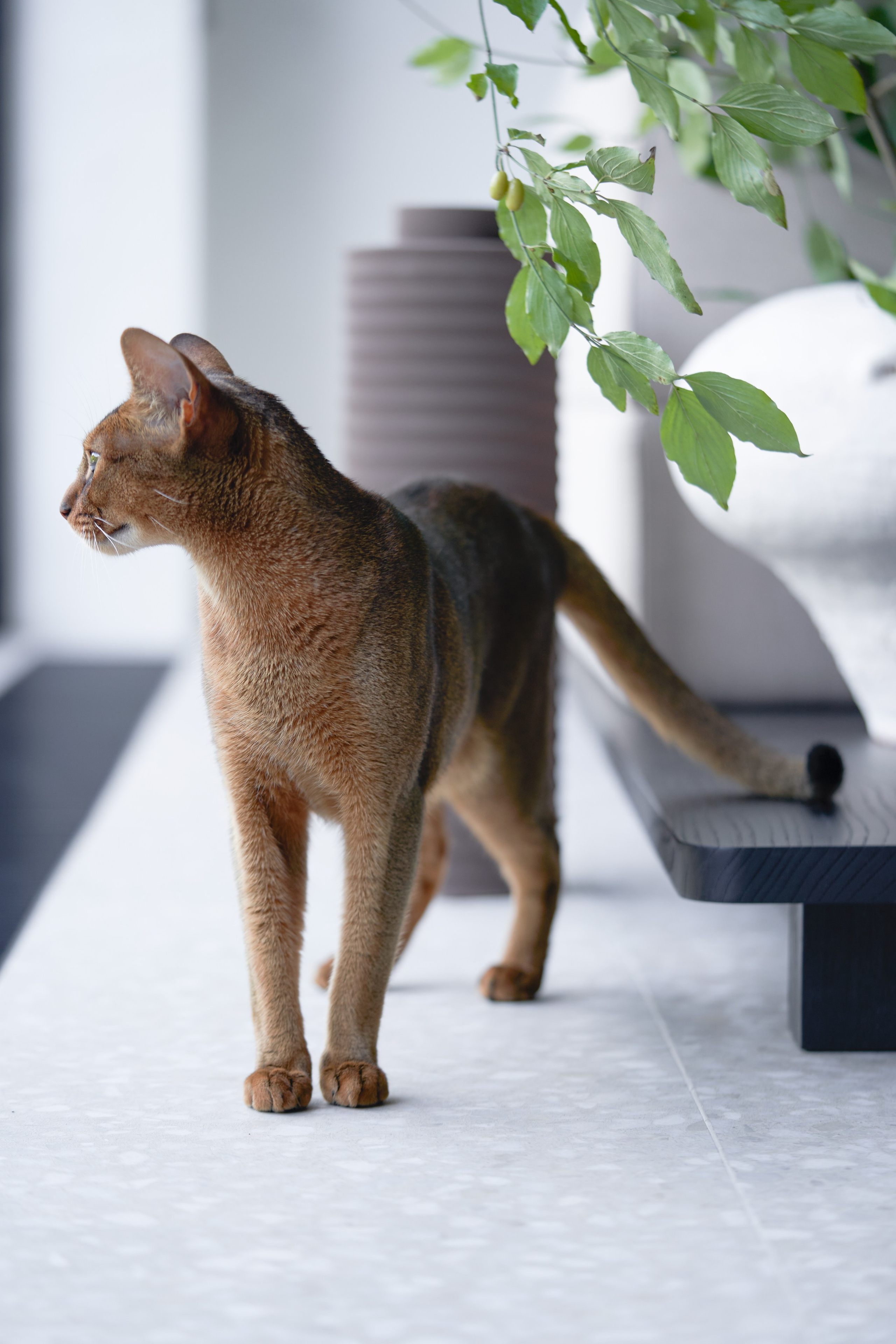 Проект дома в лесу. Студия дизайна в Краснодаре — закажите дизайн-проект дома или квартиры от студии FARENI