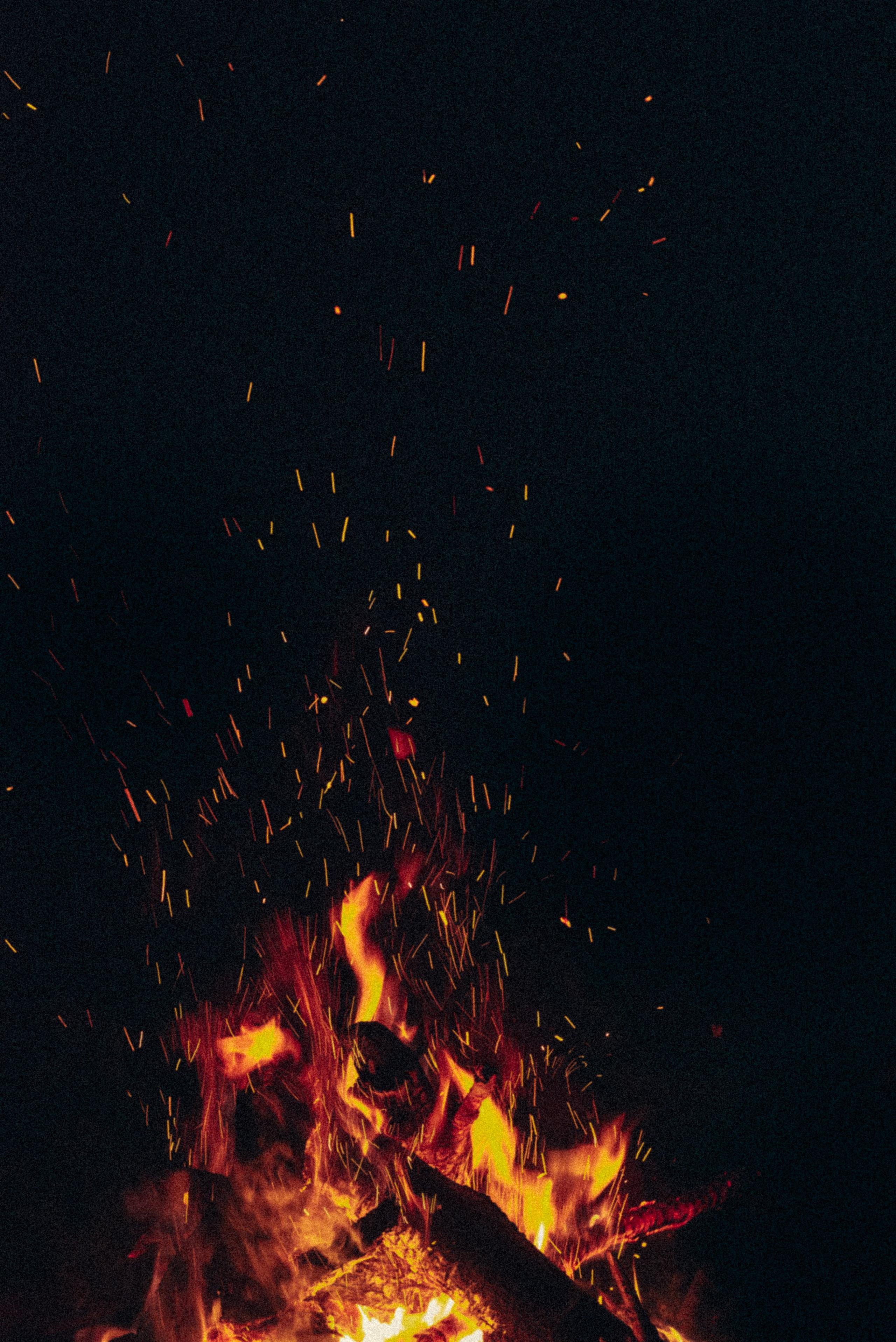 Конный поход 🇬🇪 «PVD Club». Anita_photo