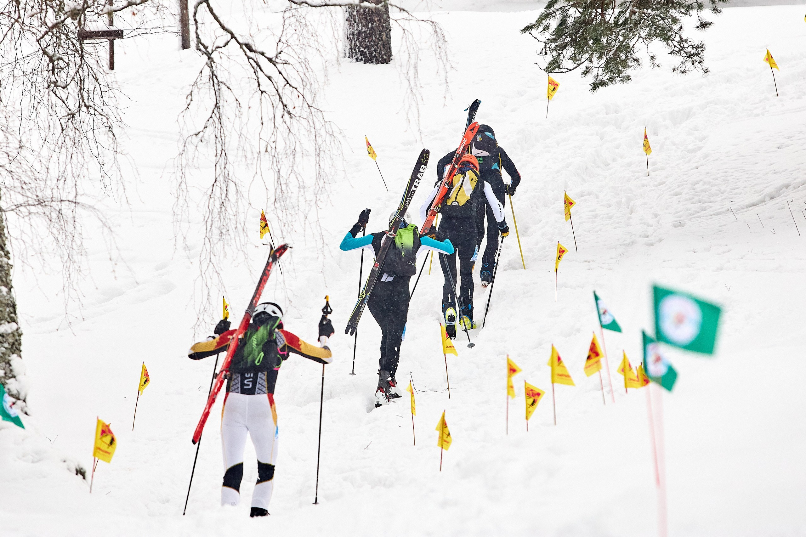 Спортивные соревнования
