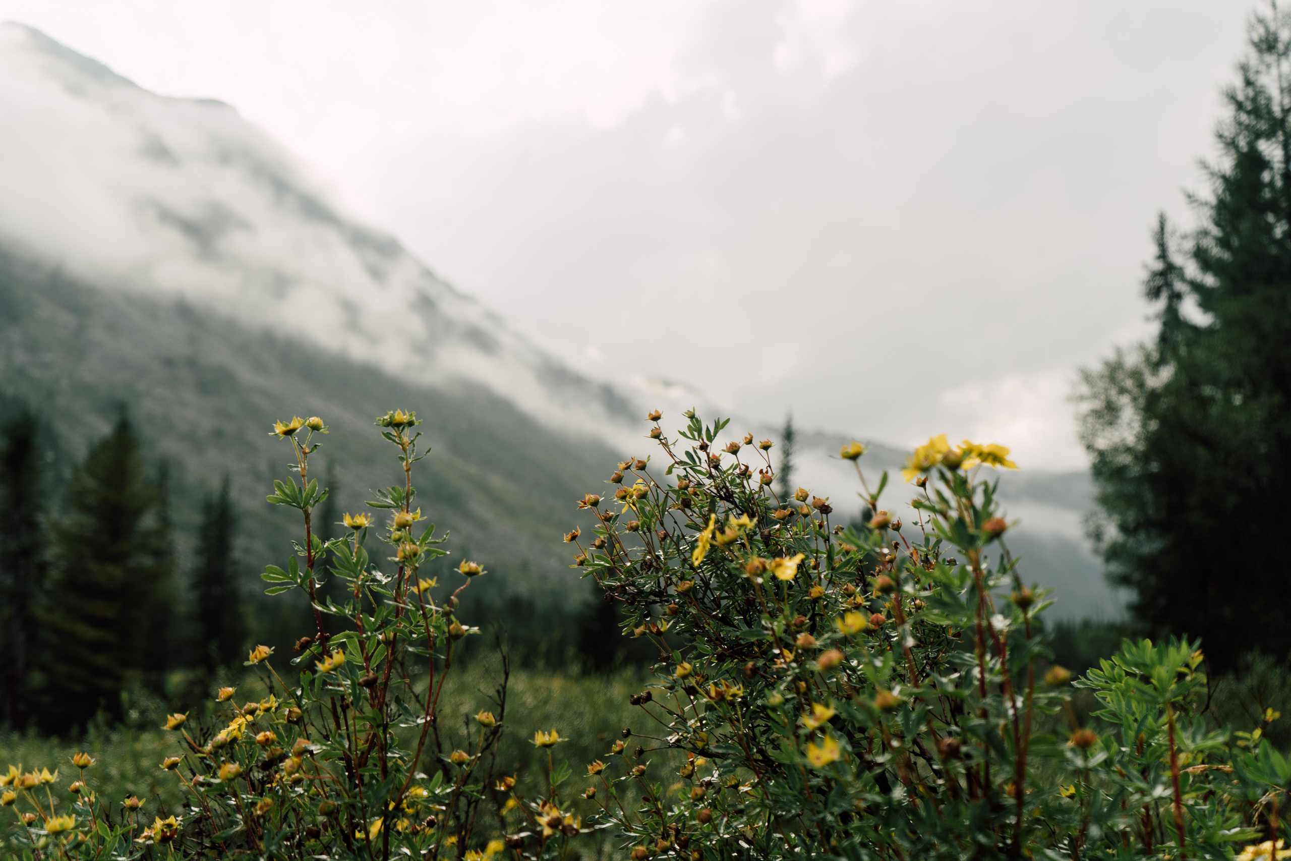 Мои путешествия. Фотограф в Санкт-Петербурге — Лучина Екатерина