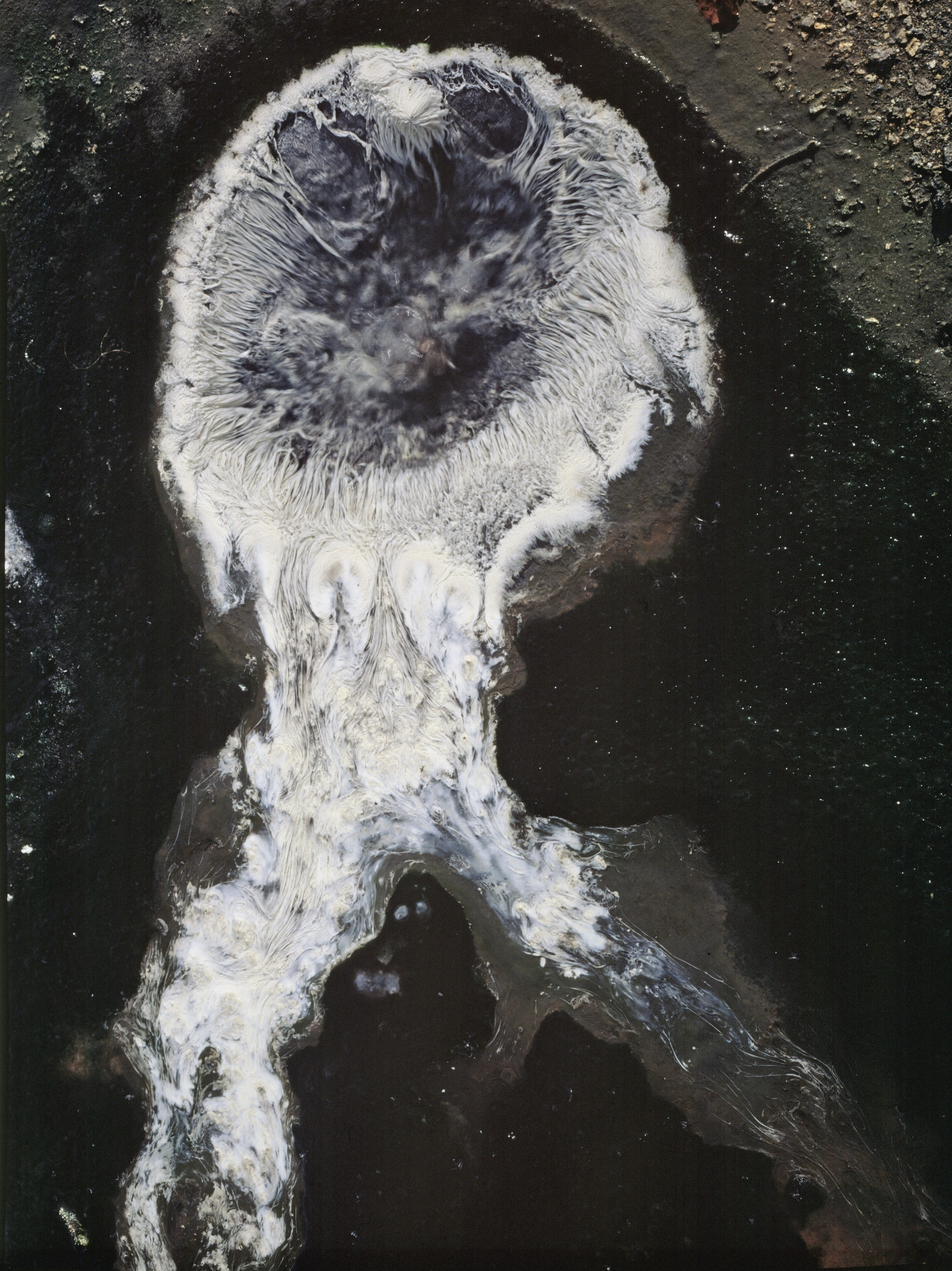 Фактуры. ВАДИМ ГИППЕНРЕЙТЕР — ВЕЛИКИЙ ФОТОГРАФ ЗЕМЛИ РУССКОЙ